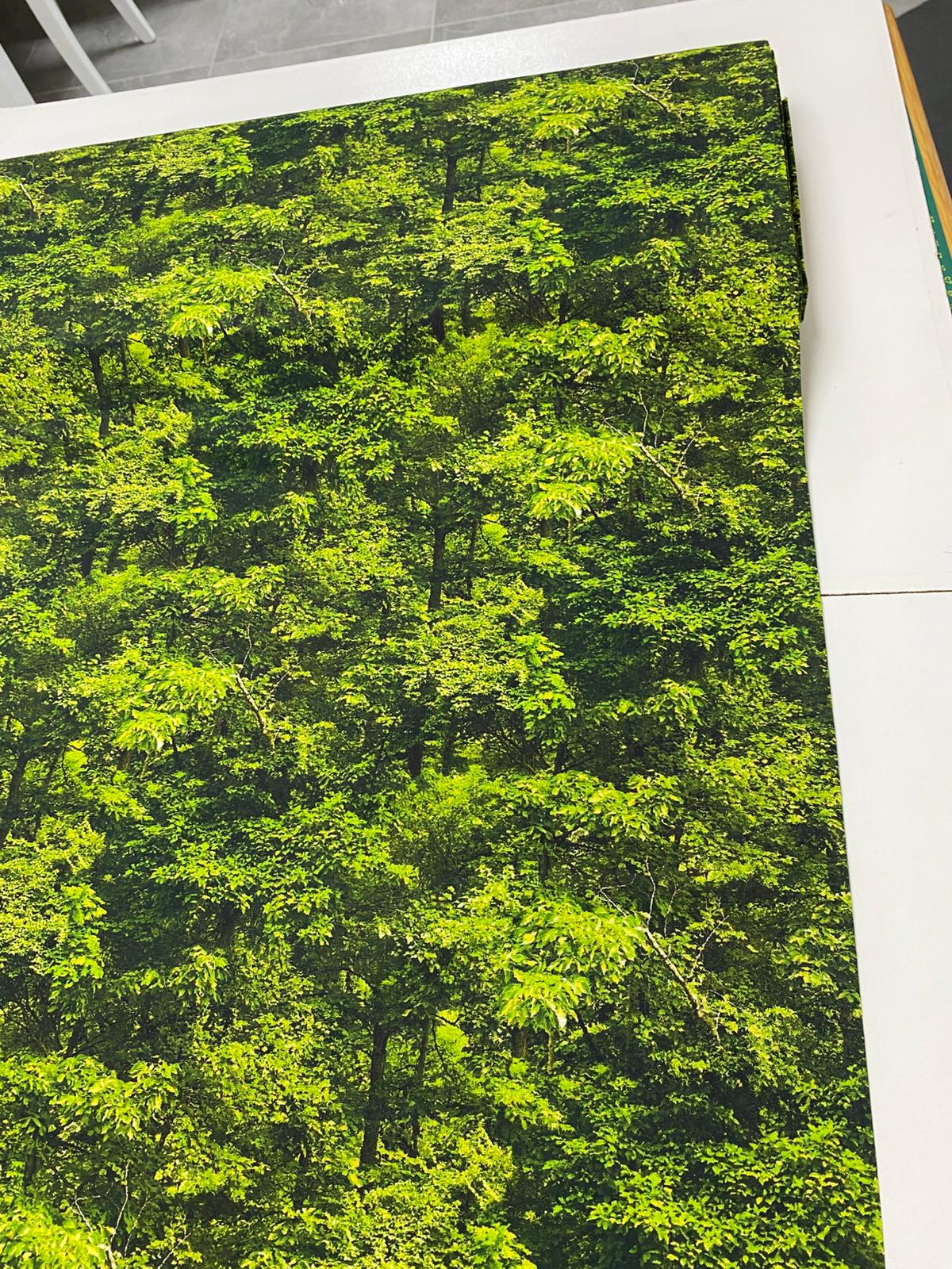 MM| NORTH COUNTRY-DDC12452-TREELINES