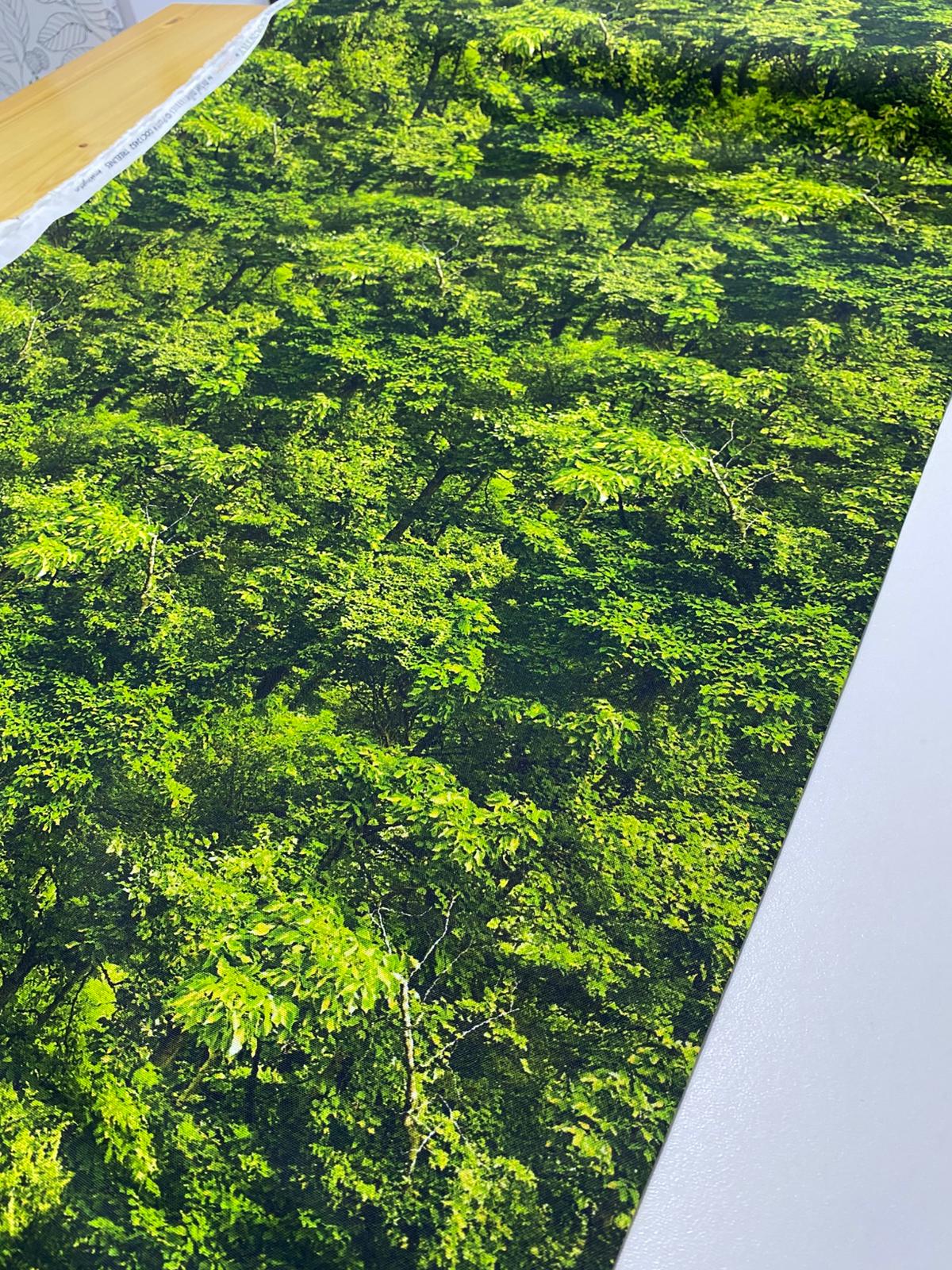 MM| NORTH COUNTRY-DDC12452-TREELINES