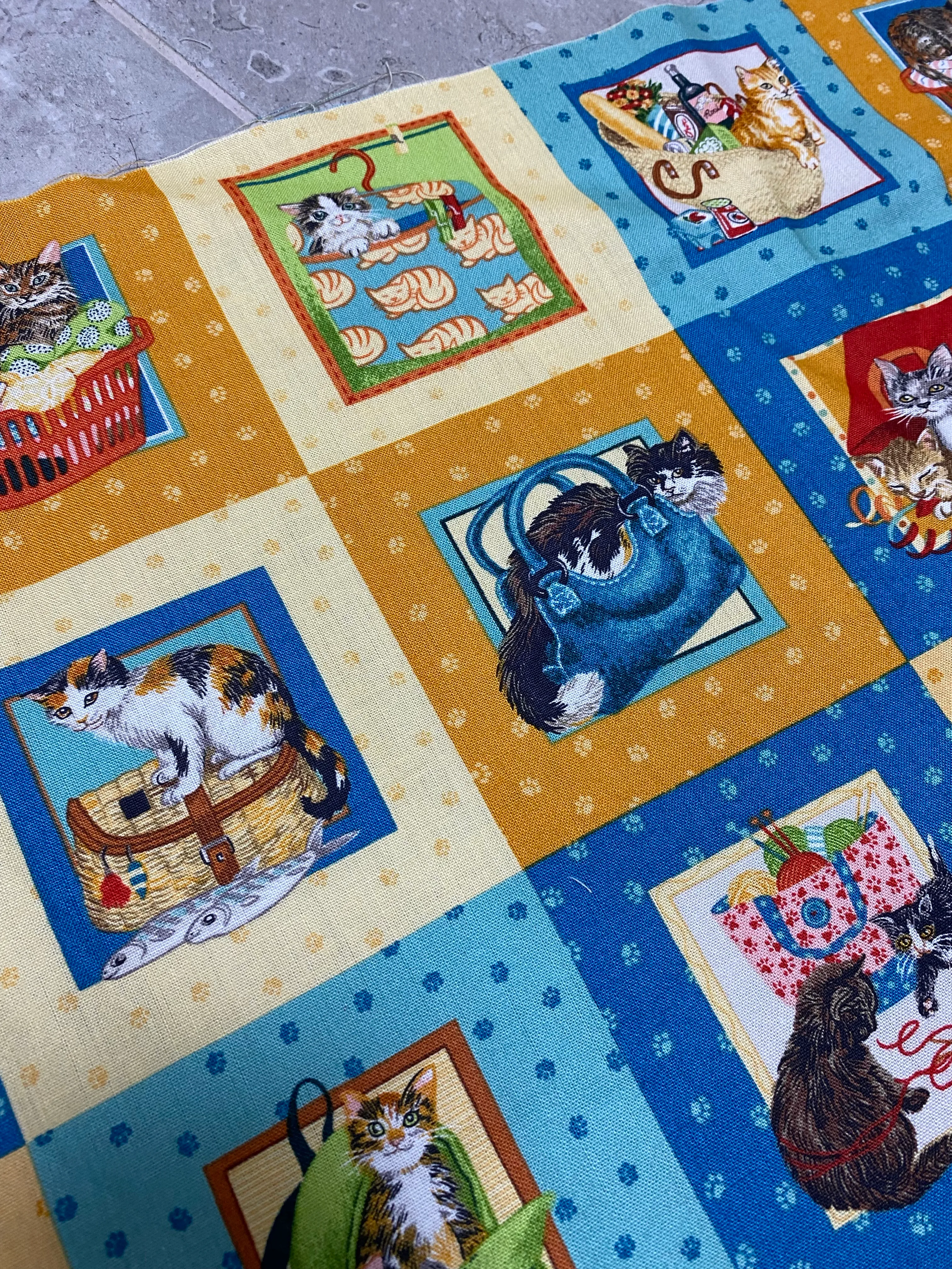 DD-Panel-Küçük kedi