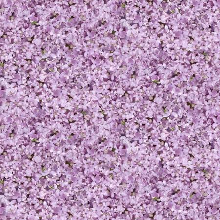 TT| FLEUR-CD2372 LAVENDE FLORAL