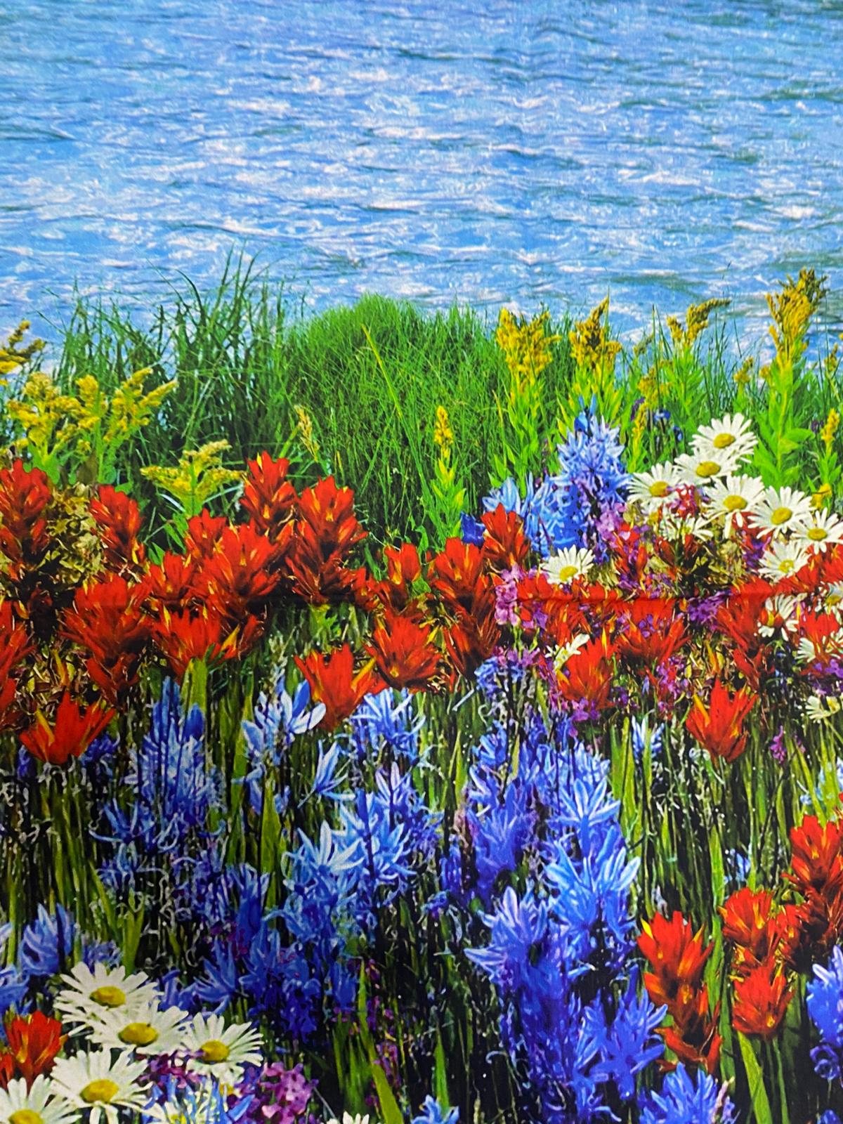 DD| PANEL-NATURE-DOĞA