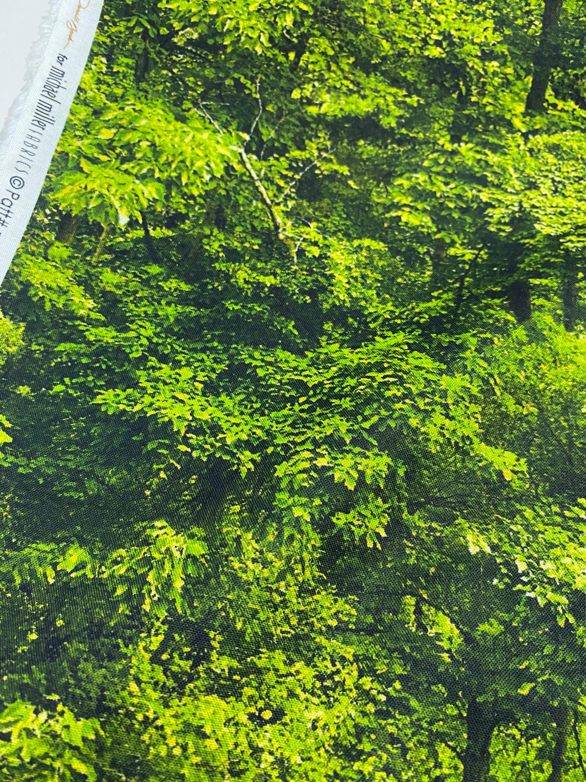 MM| NORTH COUNTRY-DDC12452-TREELINES