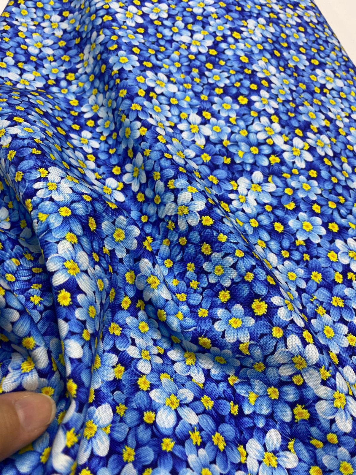 TT| FRUIT-CD3447-BLUE