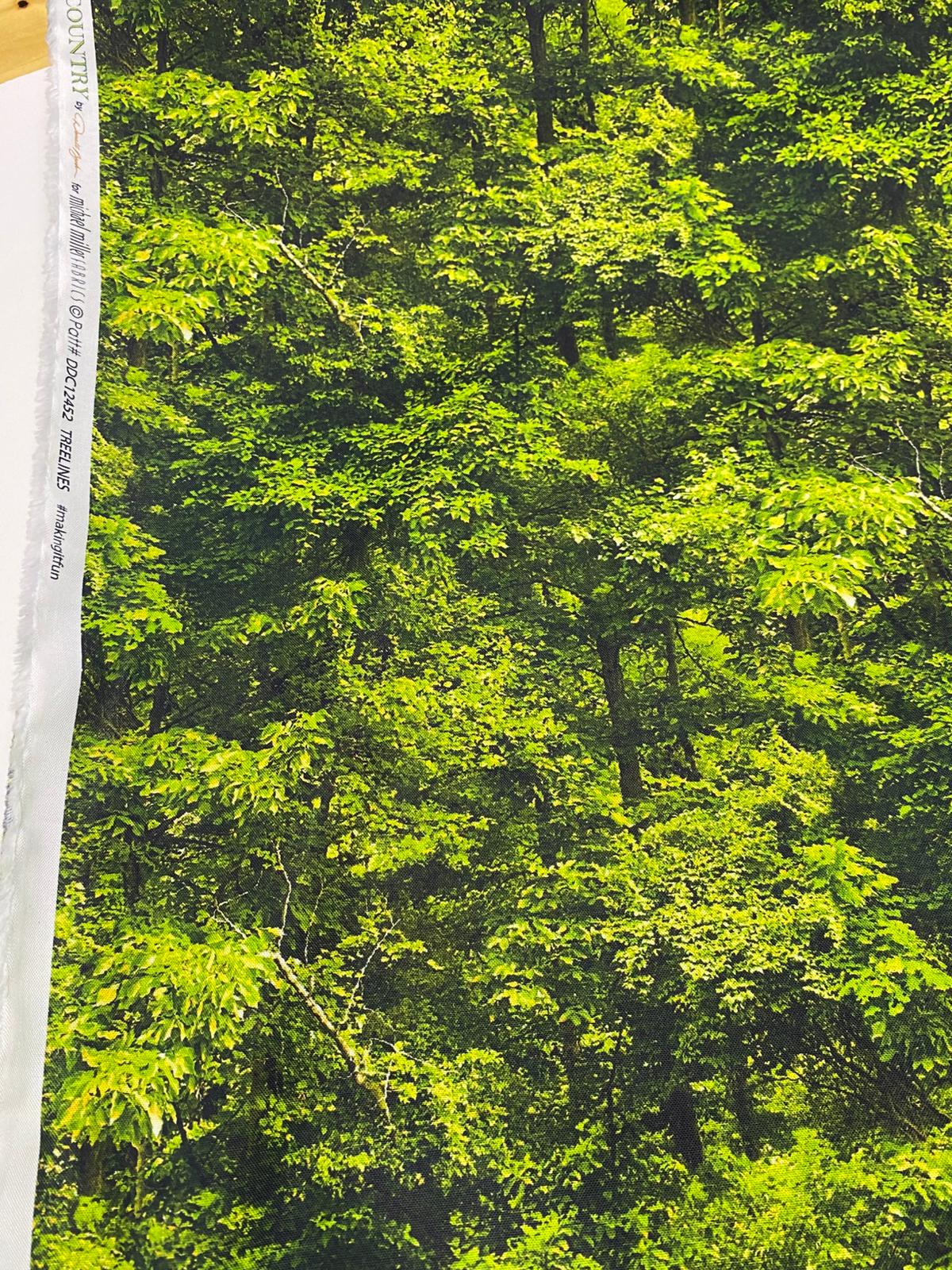 MM| NORTH COUNTRY-DDC12452-TREELINES