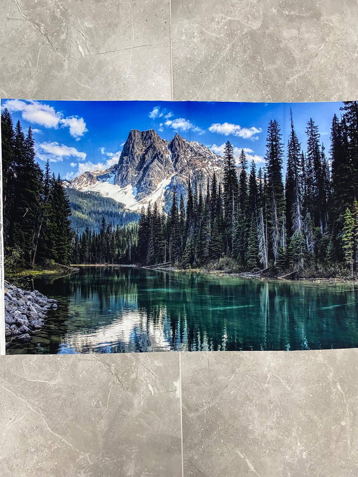 HF| Hoffman Call of the Wild - Dusty Teal - W5513-D21