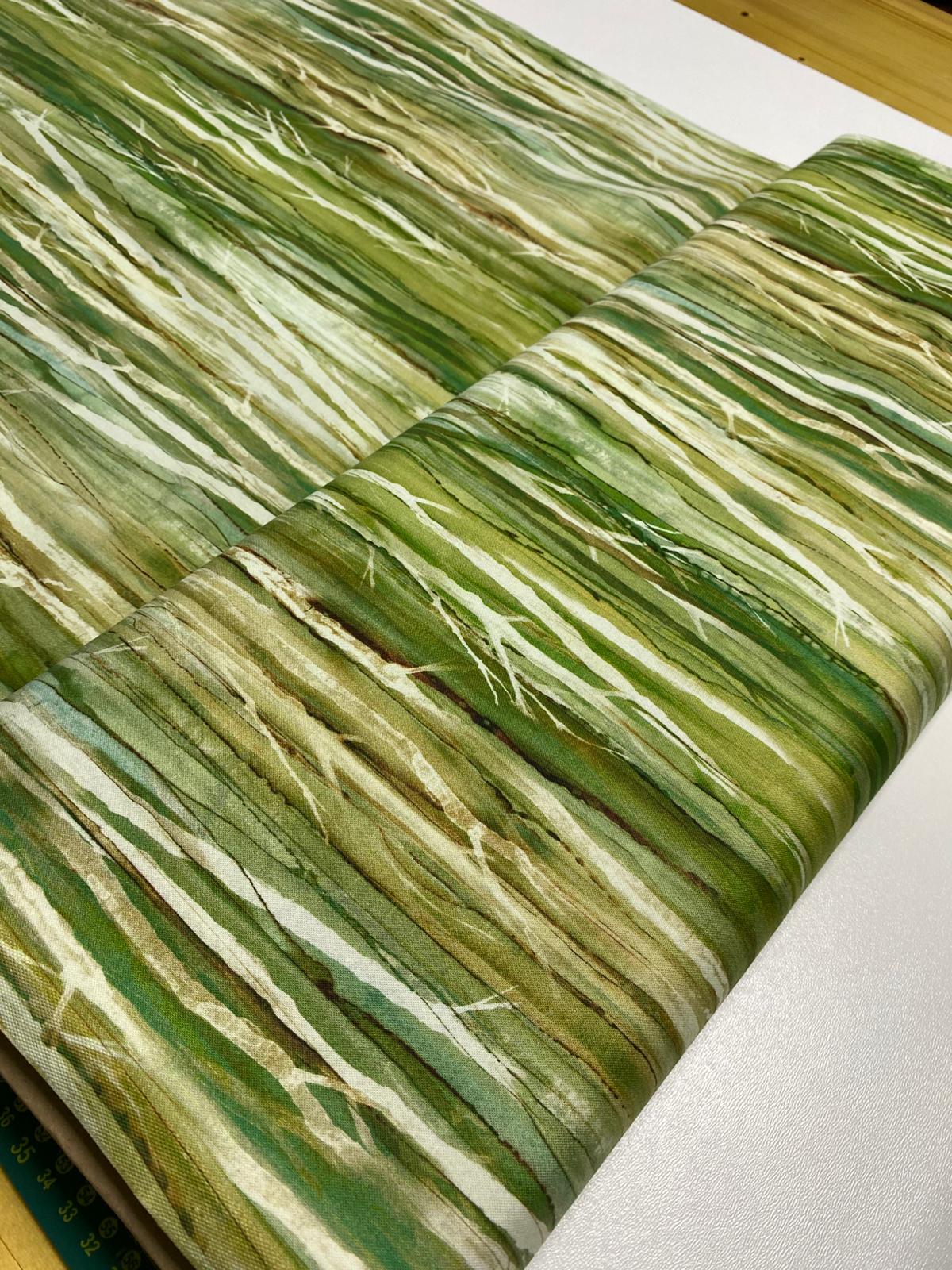 NC| CEDARCREST FALLS-Olive