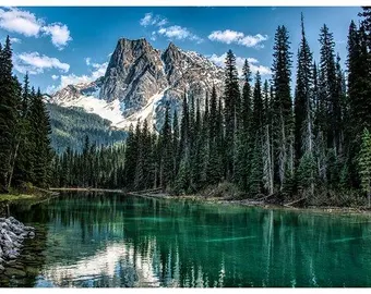 HF| Hoffman Call of the Wild - Dusty Teal - W5513-D21