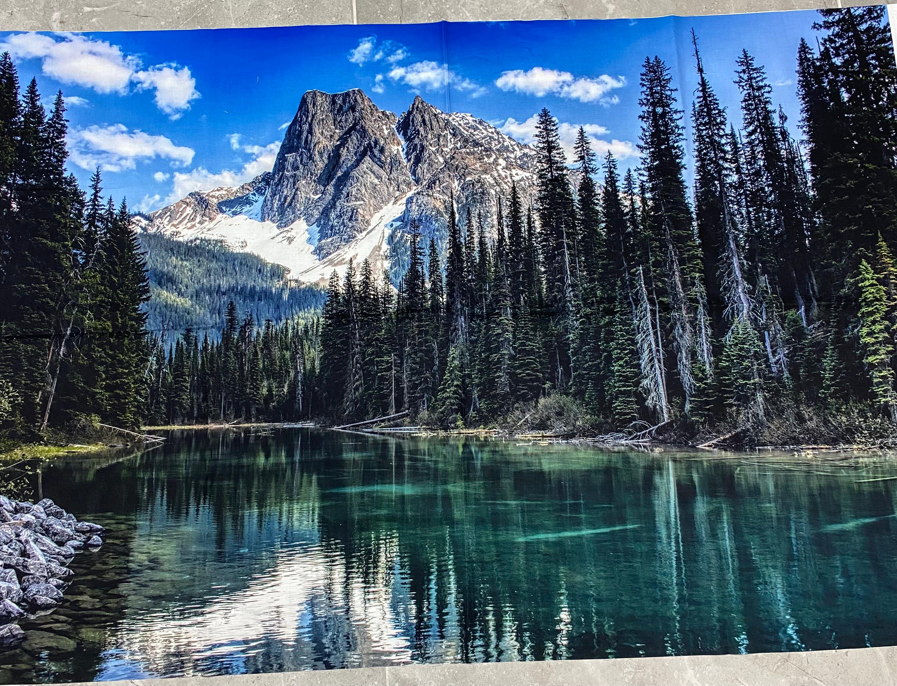 HF| Hoffman Call of the Wild - Dusty Teal - W5513-D21