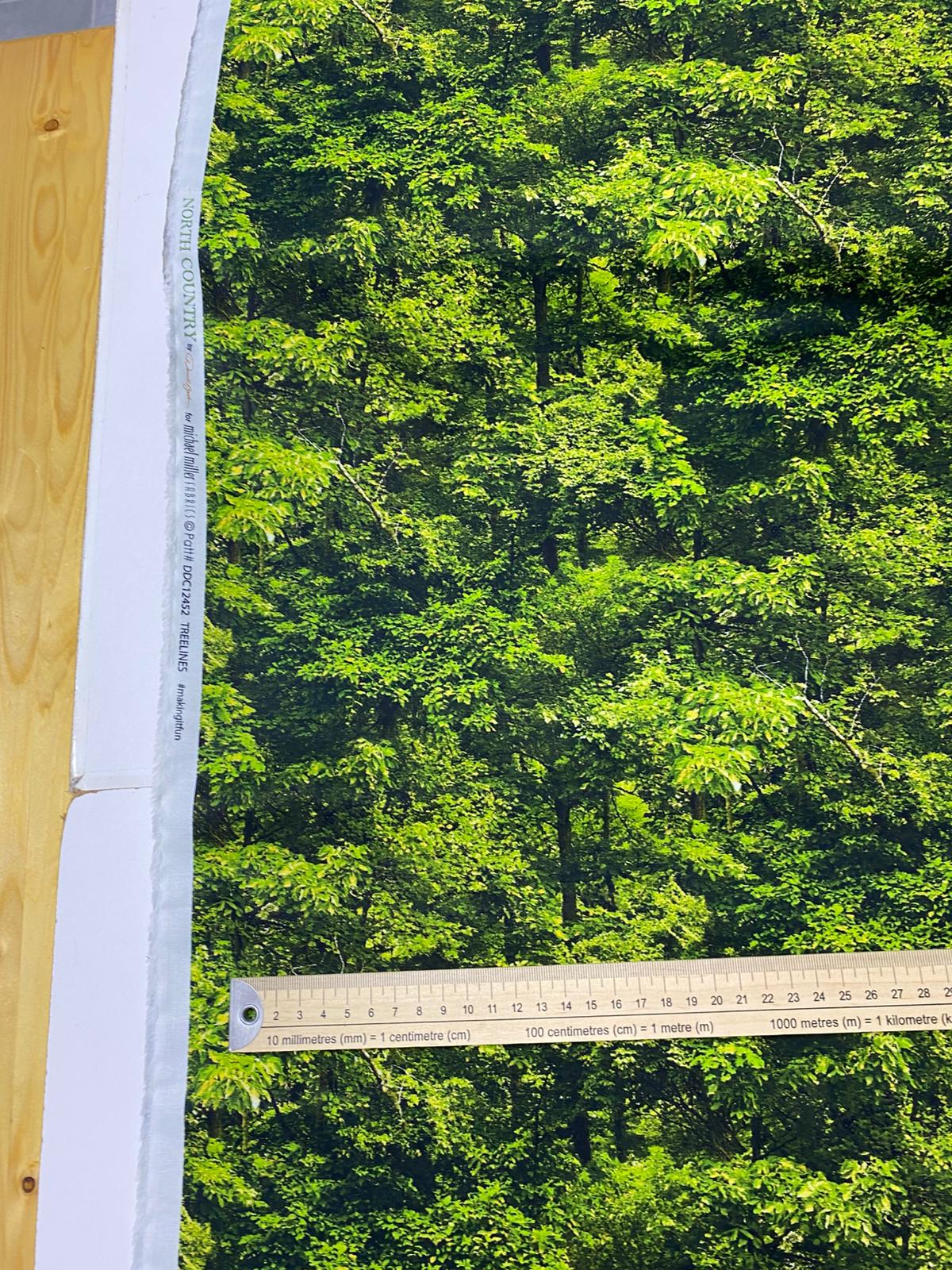 MM| NORTH COUNTRY-DDC12452-TREELINES