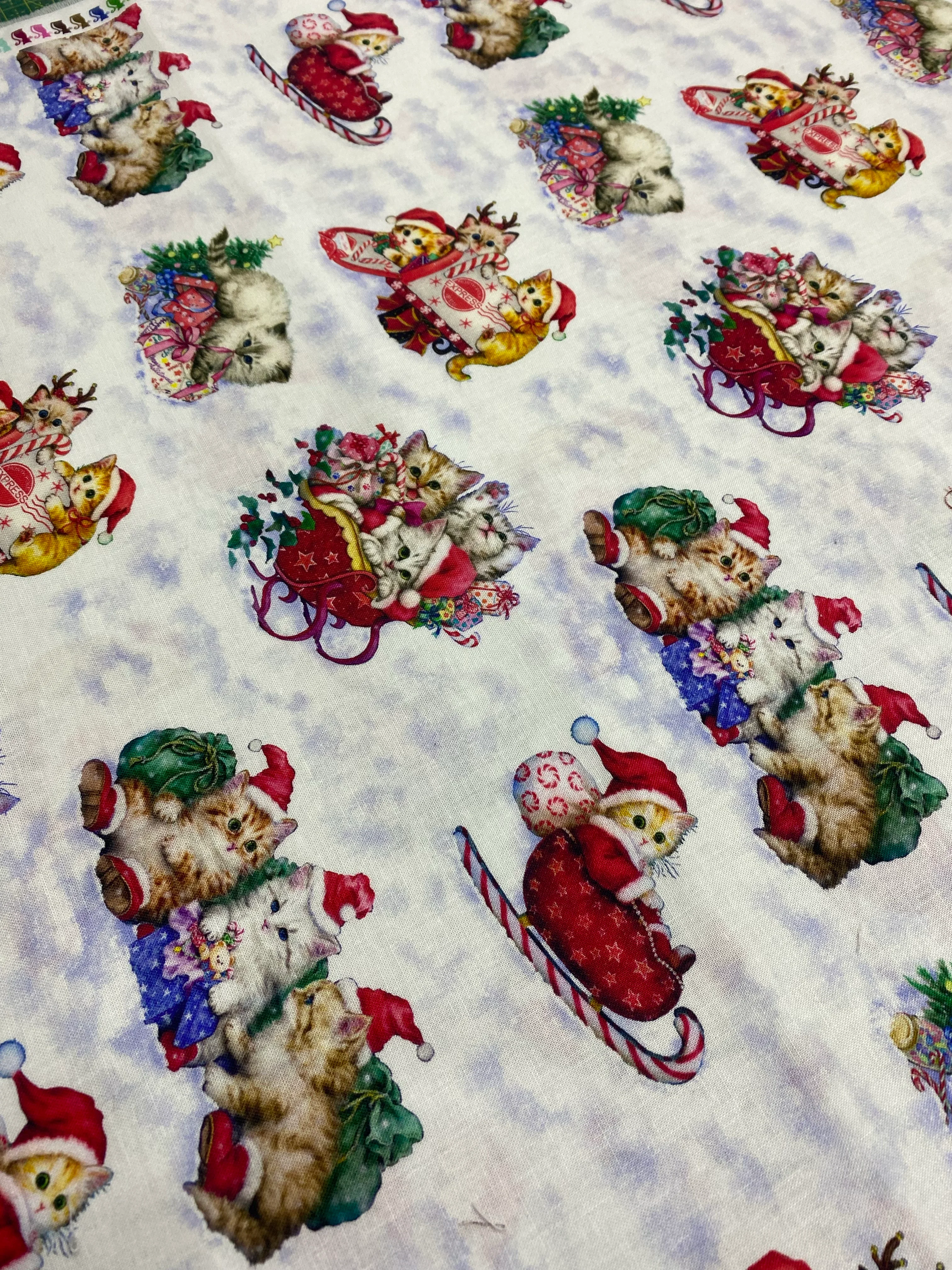 KITTEN CHRISMAS- 50CM X 110CM