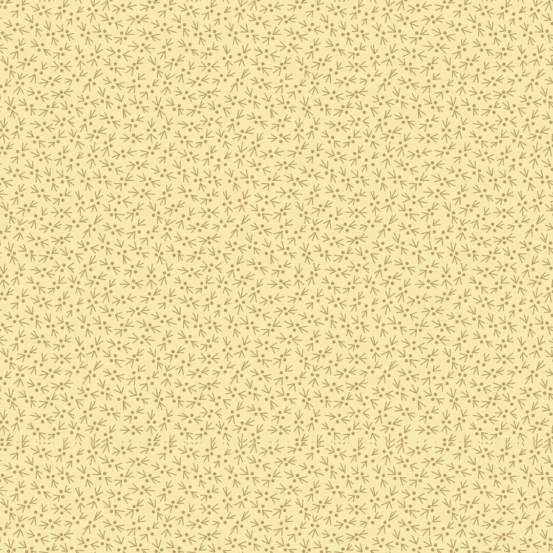 EQP| TH200501 Ecru Snowbird