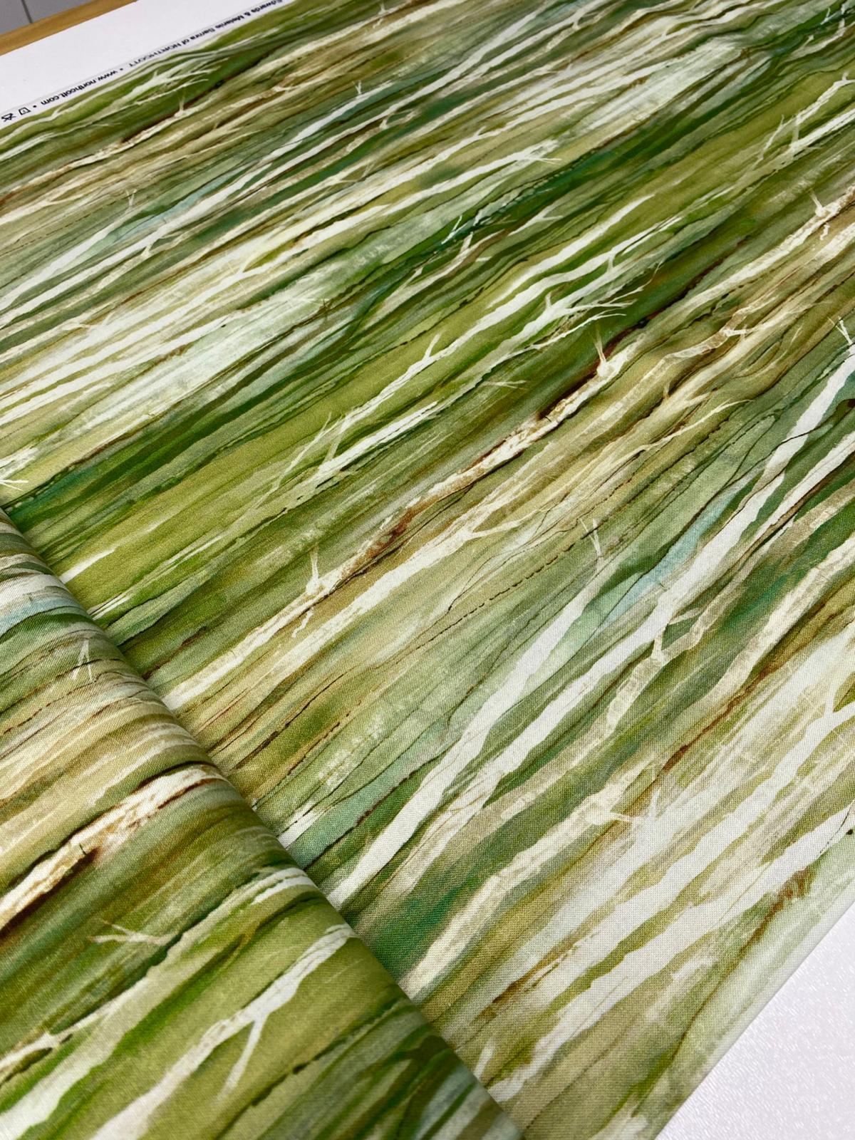 NC| CEDARCREST FALLS-Olive