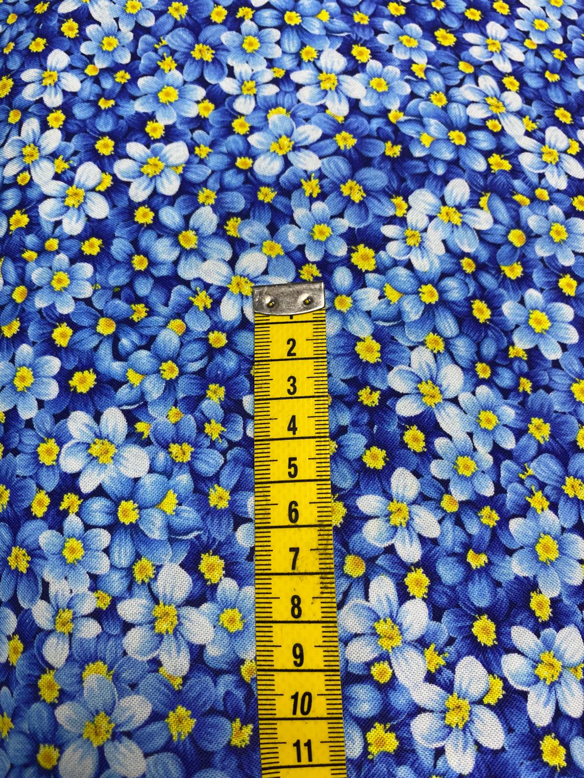 TT| FRUIT-CD3447-BLUE