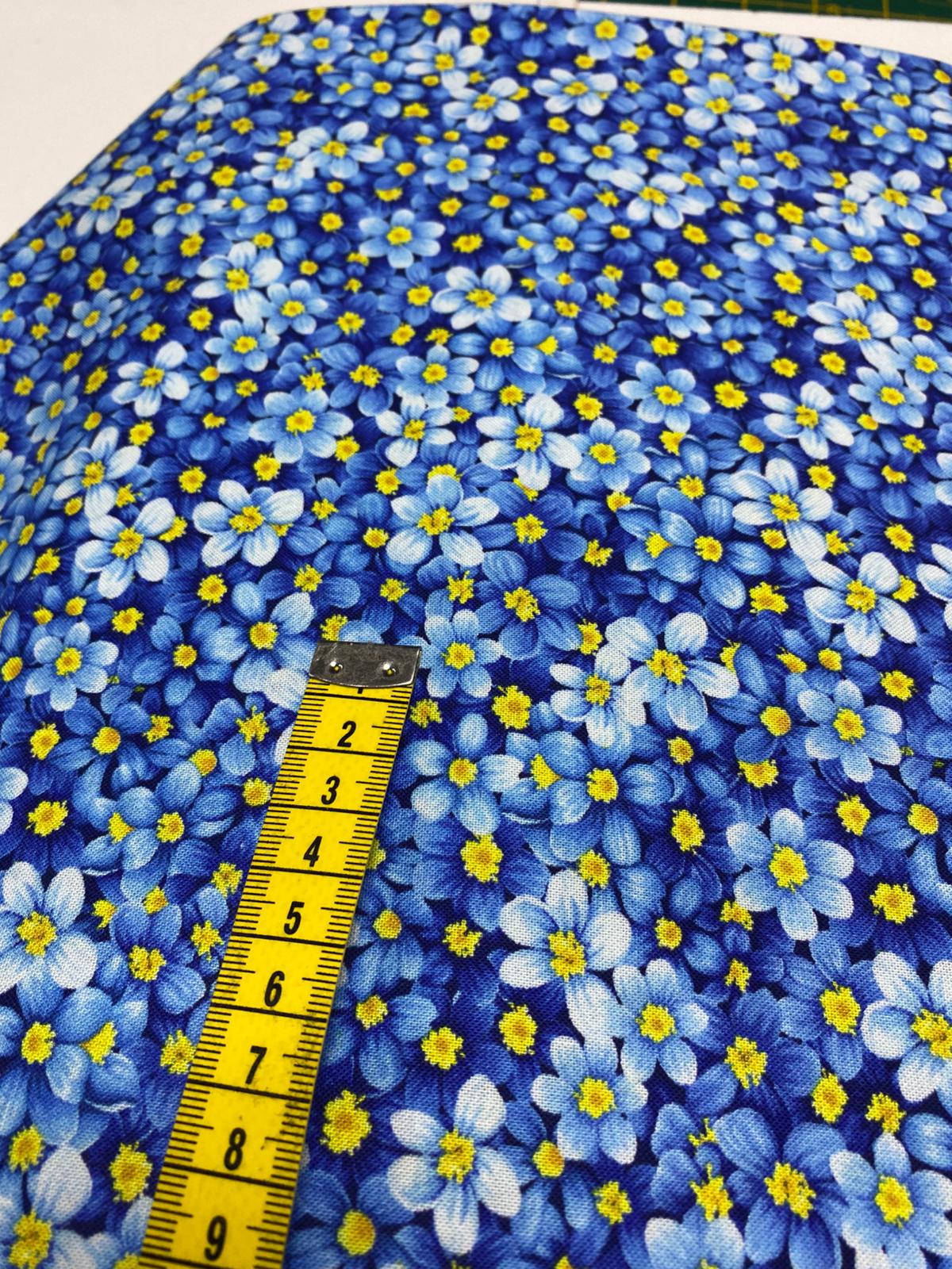 TT| FRUIT-CD3447-BLUE