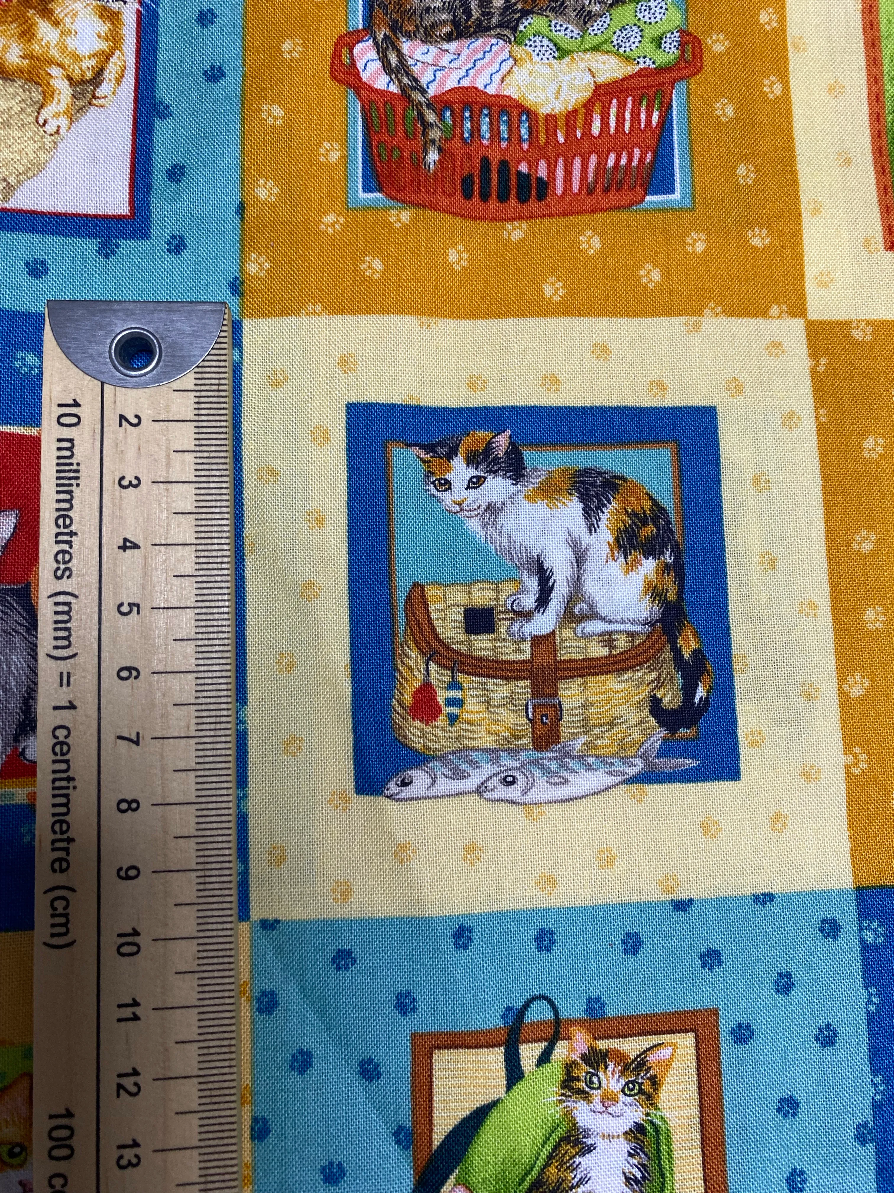 DD-Panel-Küçük kedi