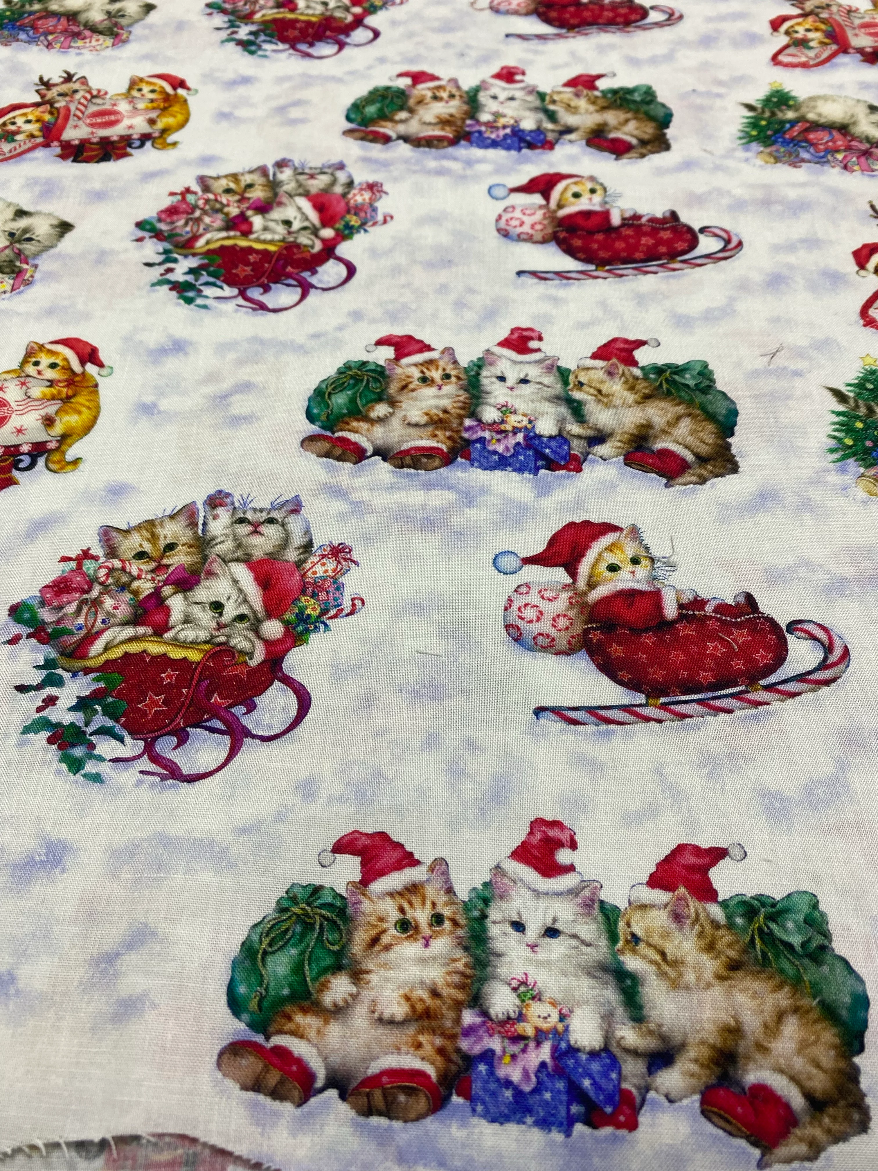 KITTEN CHRISMAS- 50CM X 110CM