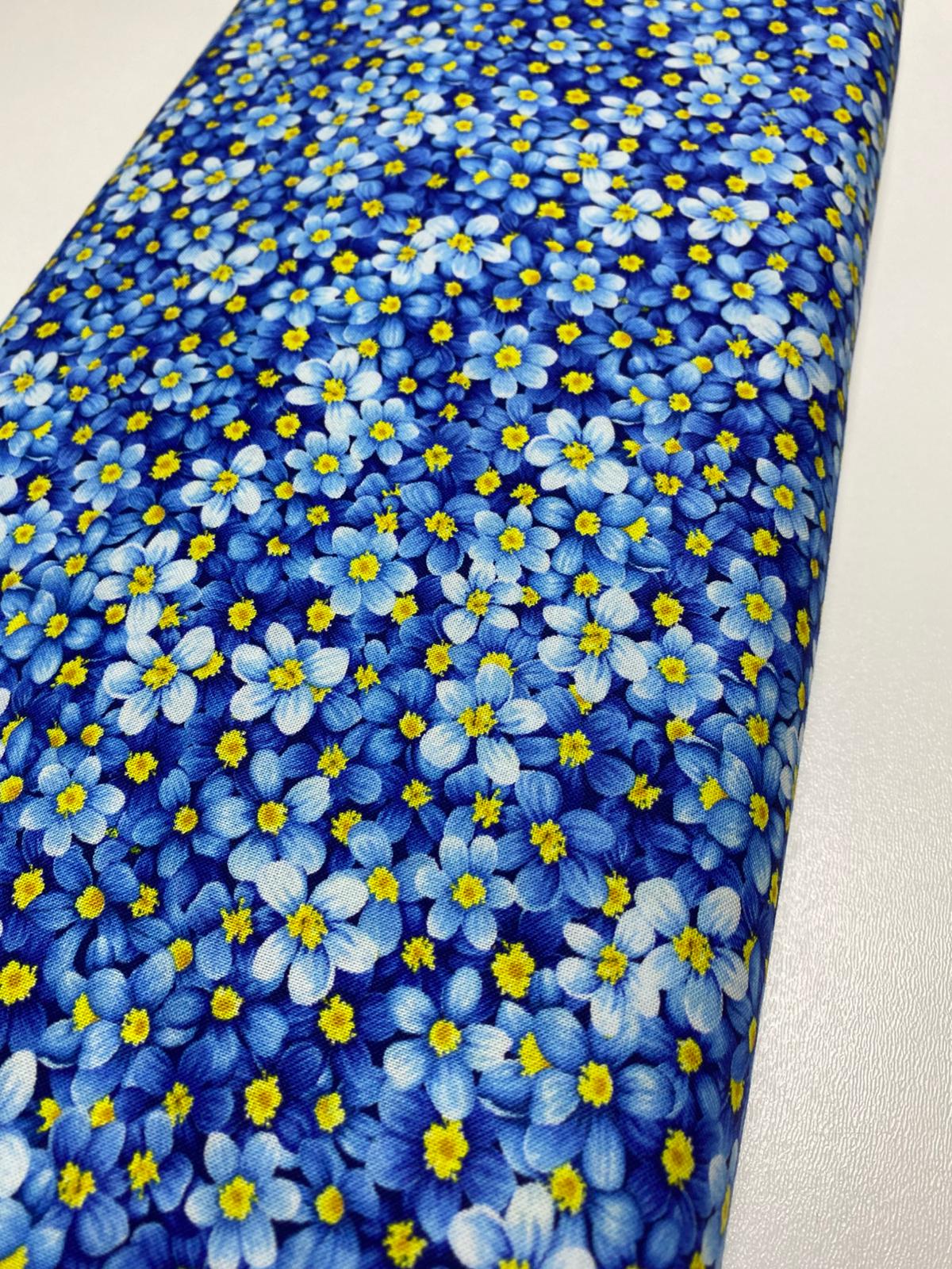 TT| FRUIT-CD3447-BLUE