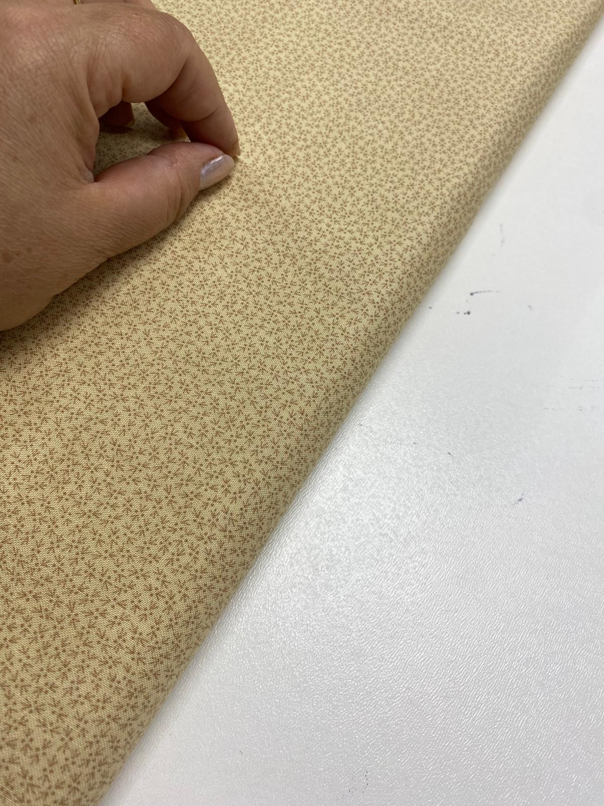 EQP| TH200501 Ecru Snowbird