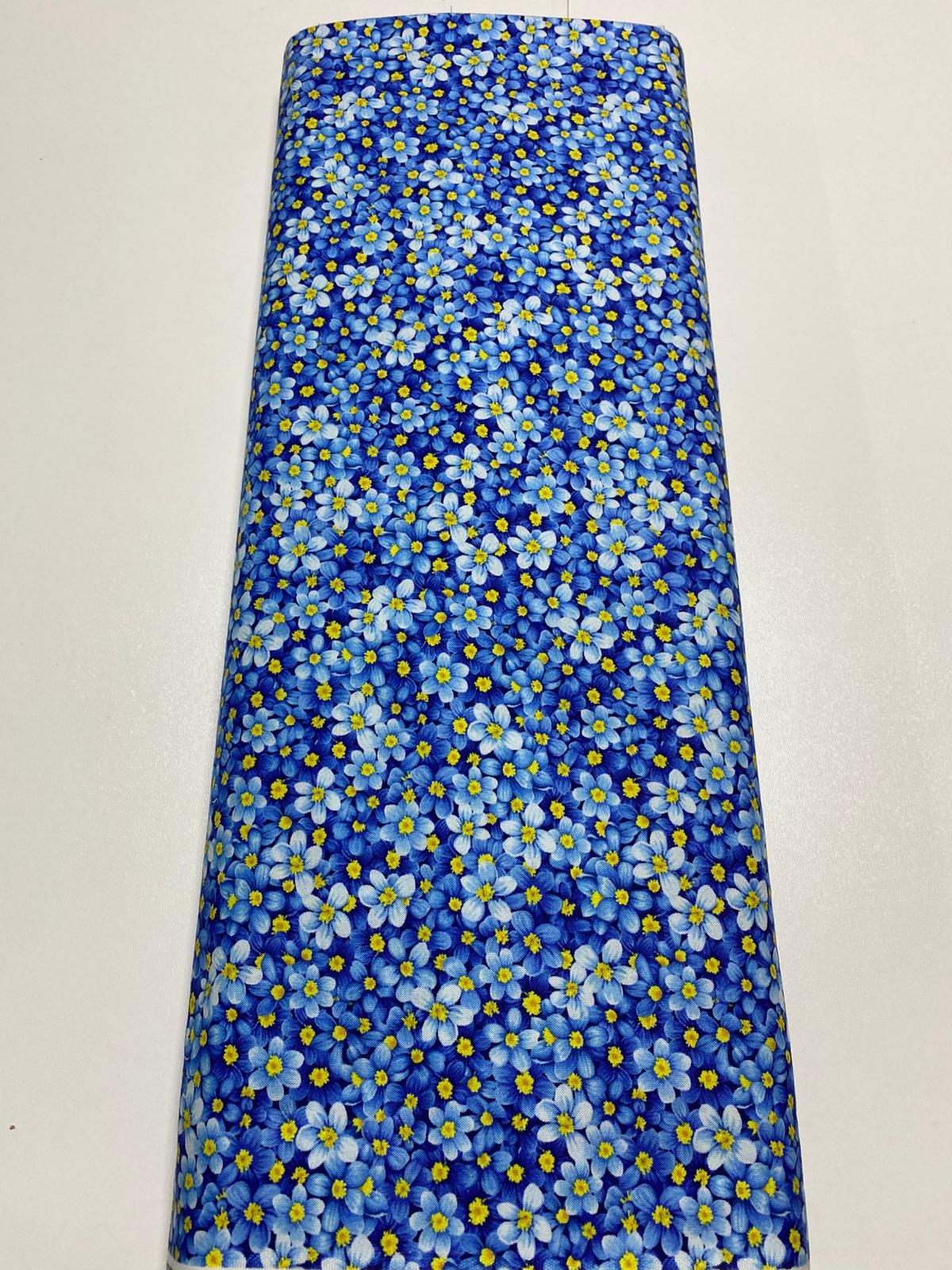 TT| FRUIT-CD3447-BLUE