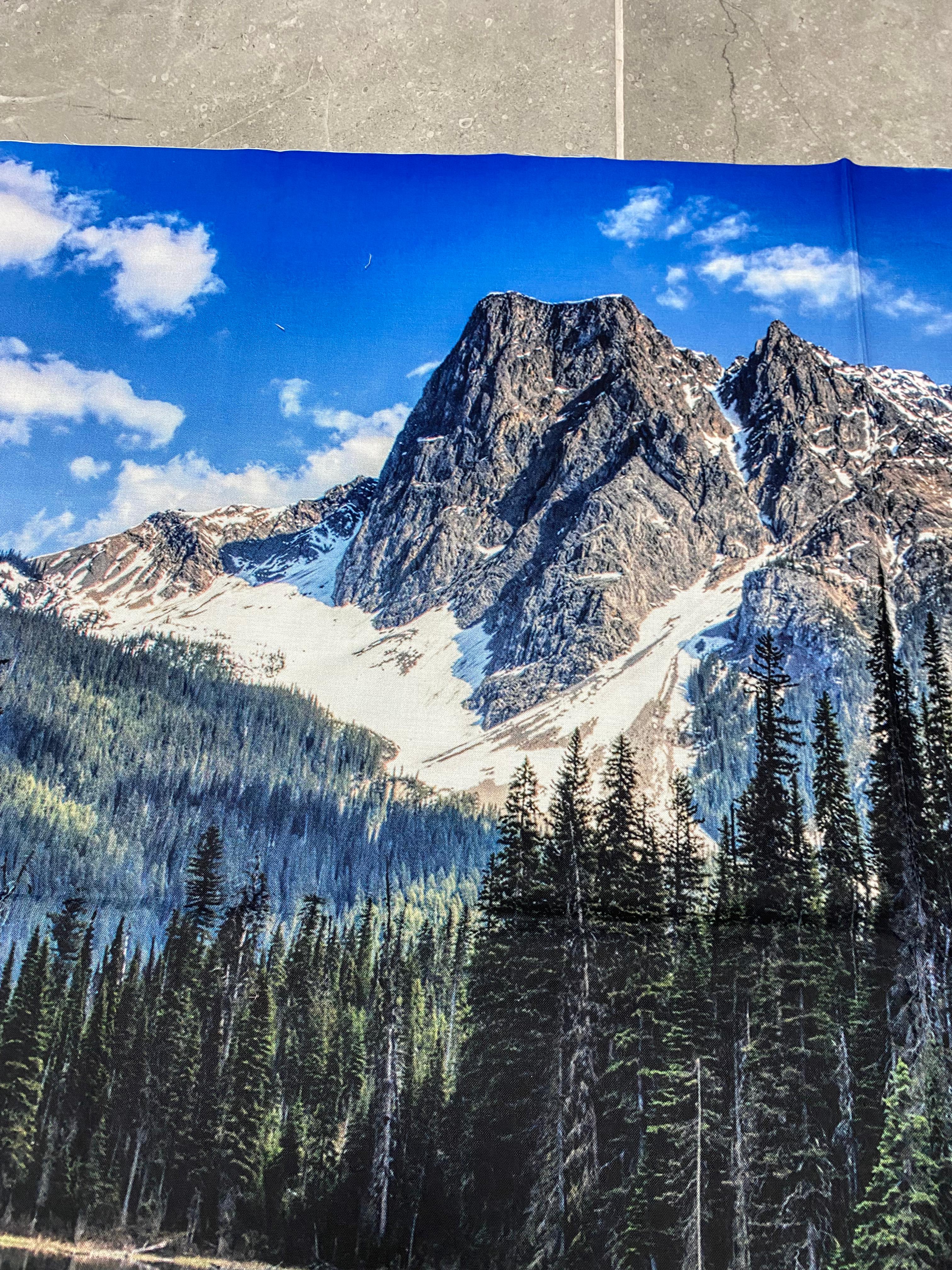 HF| Hoffman Call of the Wild - Dusty Teal - W5513-D21