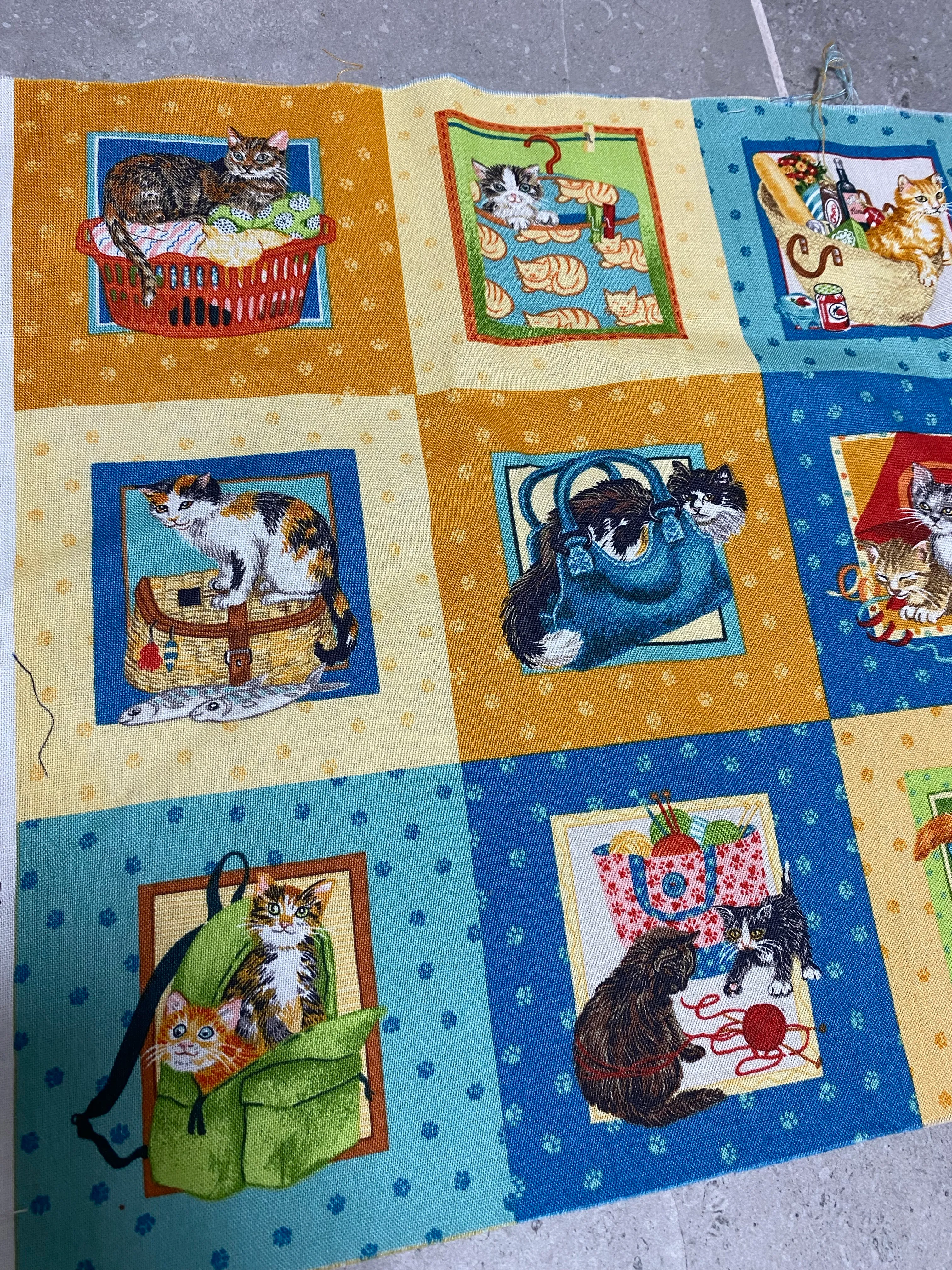 DD-Panel-Küçük kedi