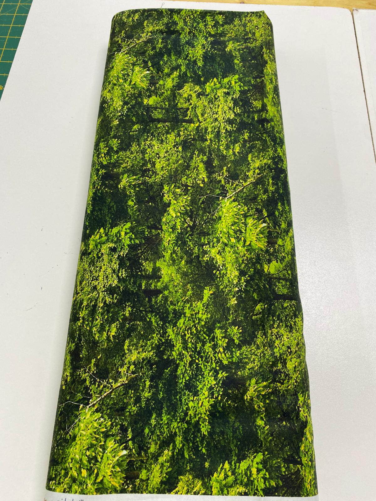 MM| NORTH COUNTRY-DDC12452-TREELINES