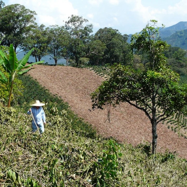 Colombia La Loma