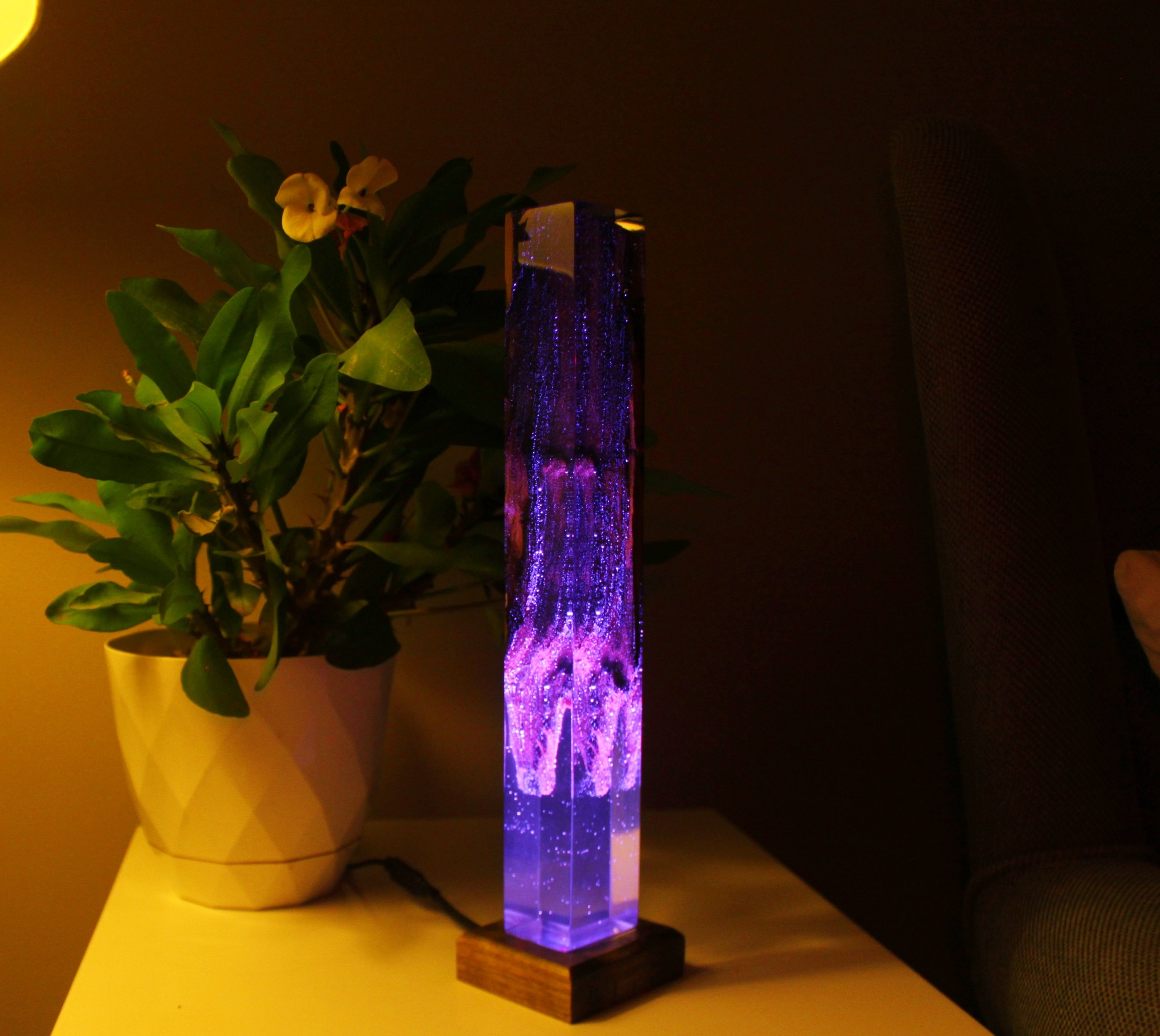 Natural Olive Epoxy Resin Night Lamp