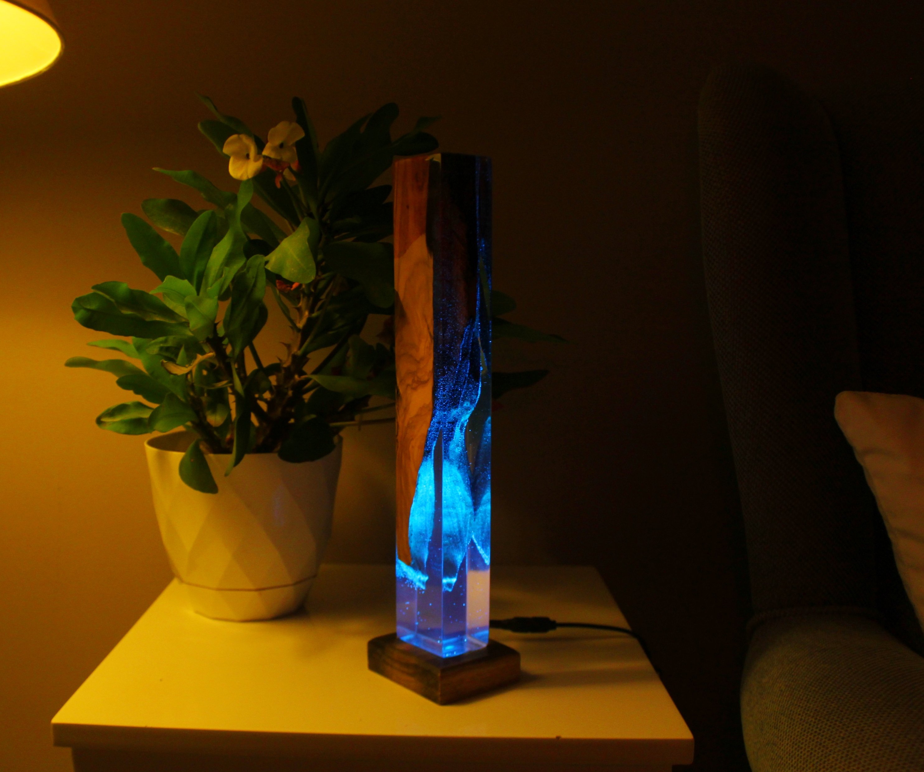 Natural Olive Epoxy Resin Night Lamp