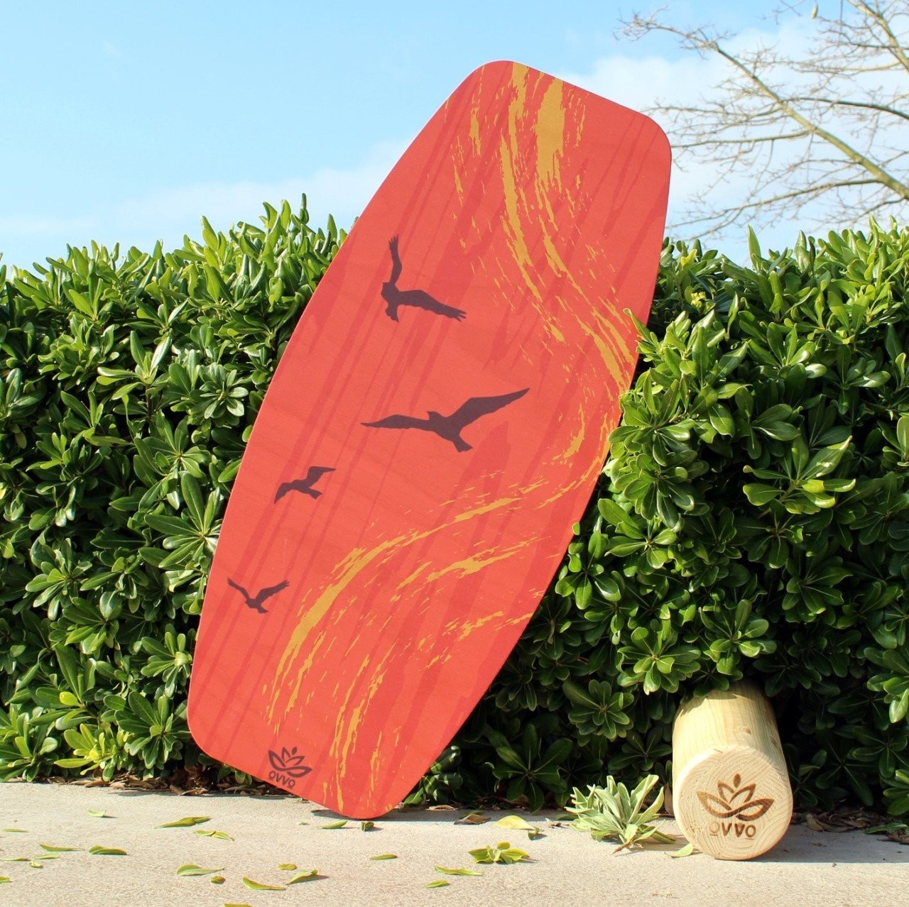 Planche d'équilibre Red Sea | Planche d'équilibre de style surf | Planche d'équilibre en bois | WoodNotion OVVO