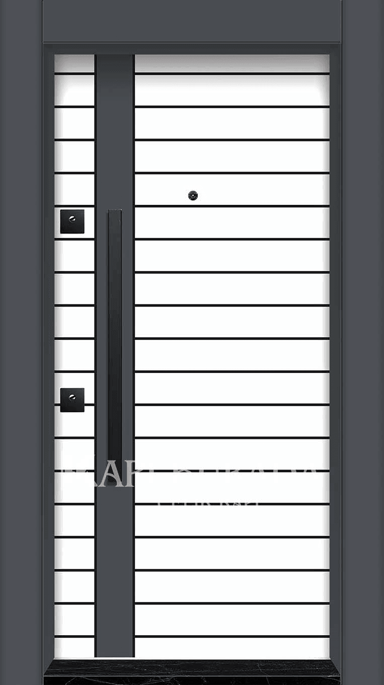 Laminoks Panel Çelik Kapı 411