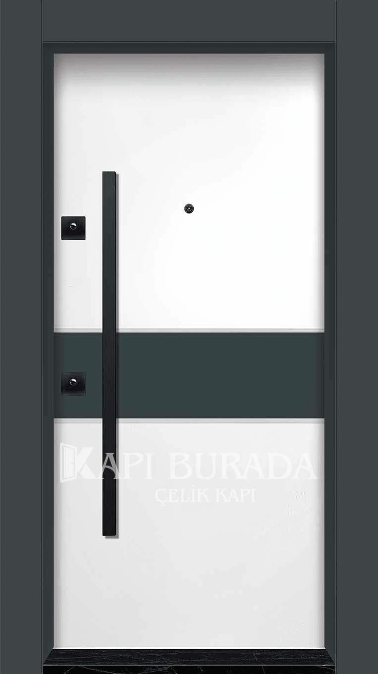 Kompozit Panel Çelik Kapı 301
