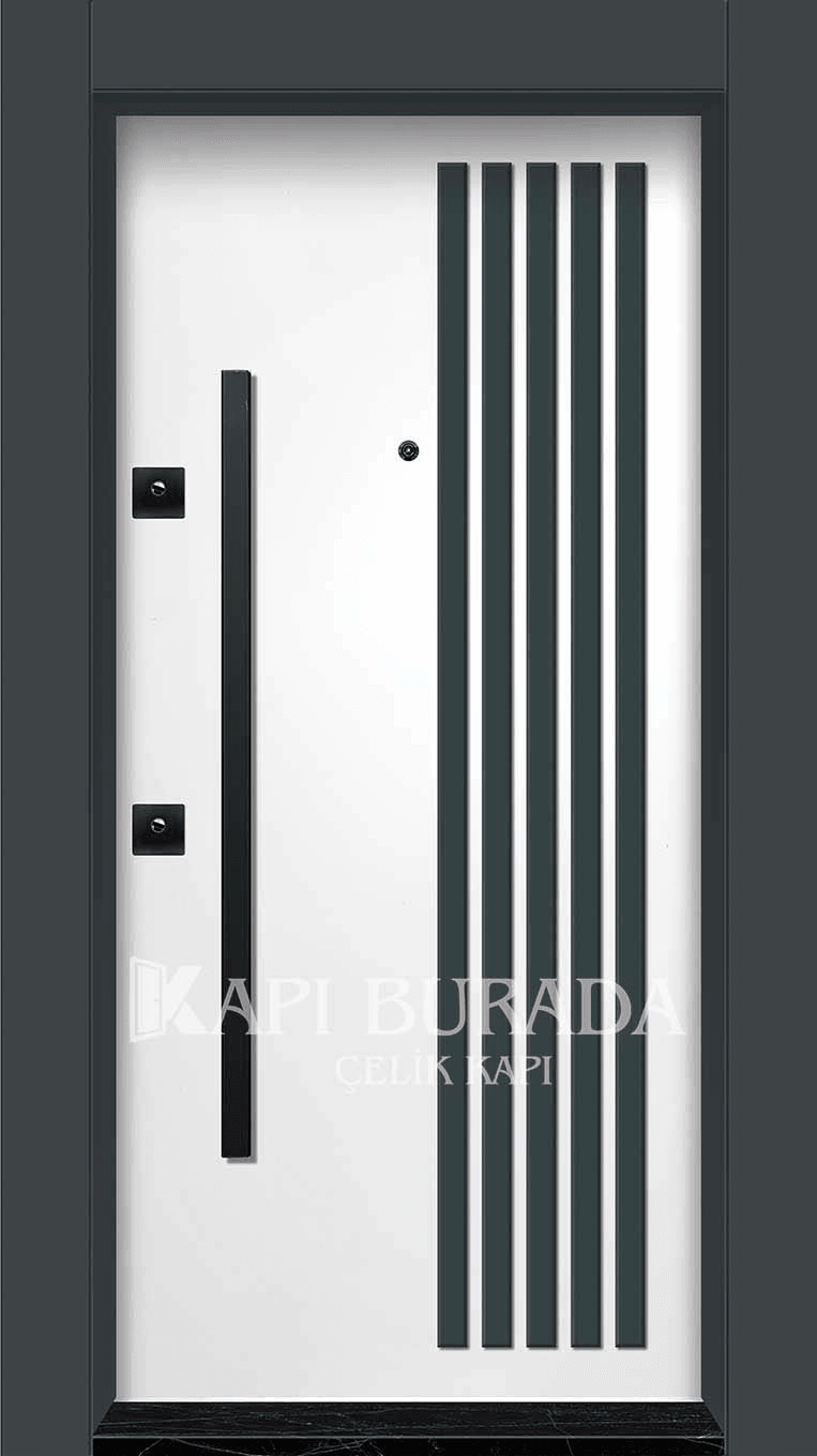 Kompozit Panel Çelik Kapı 303