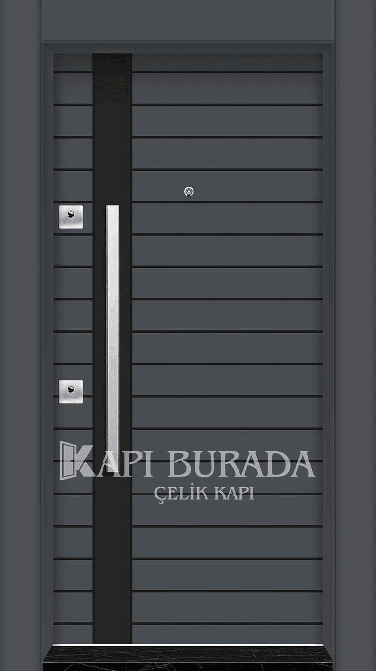 Laminoks Panel Çelik Kapı 412