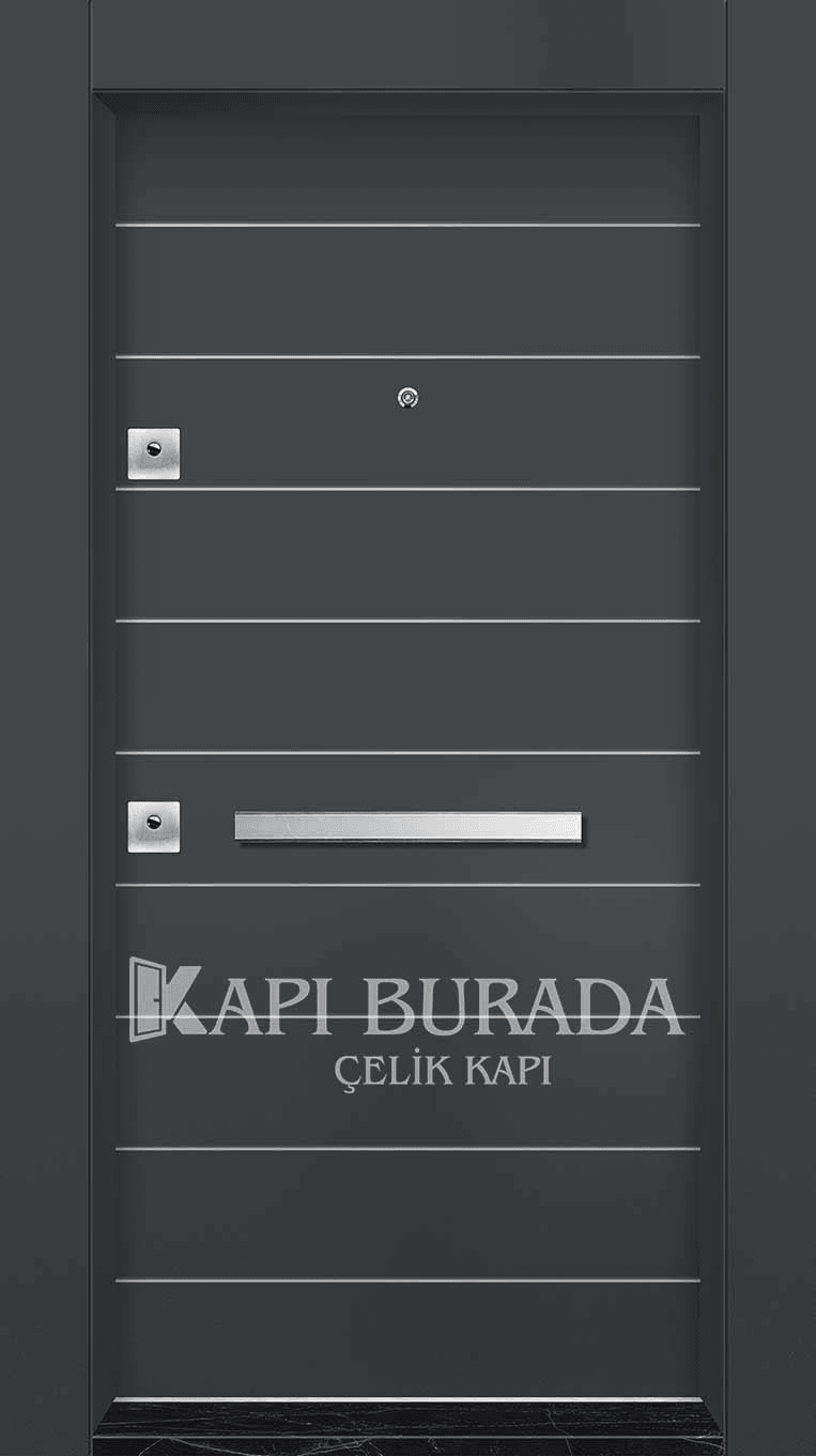 Kompozit Panel Çelik Kapı 310