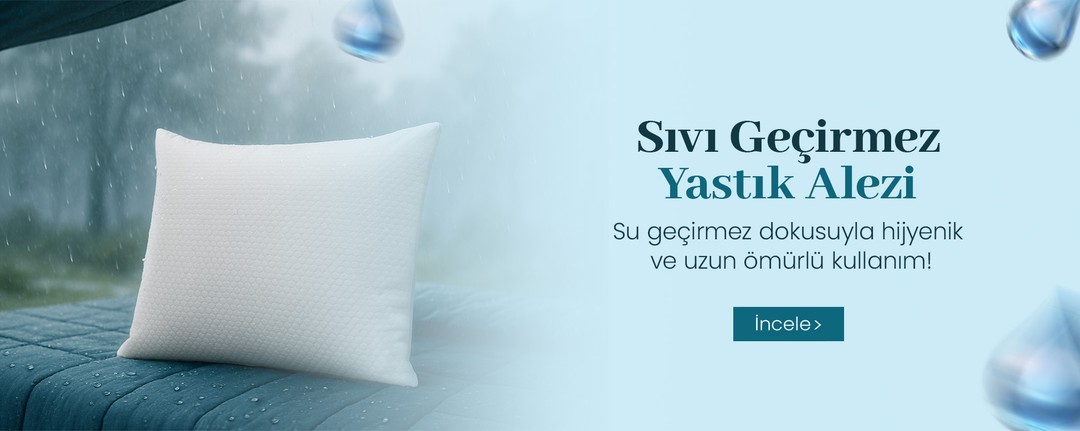 Masaüstü Görseli 1