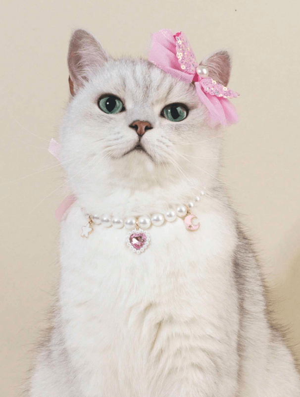 Kedi Köpek Kolyesi Şık Tasma Toka Seti