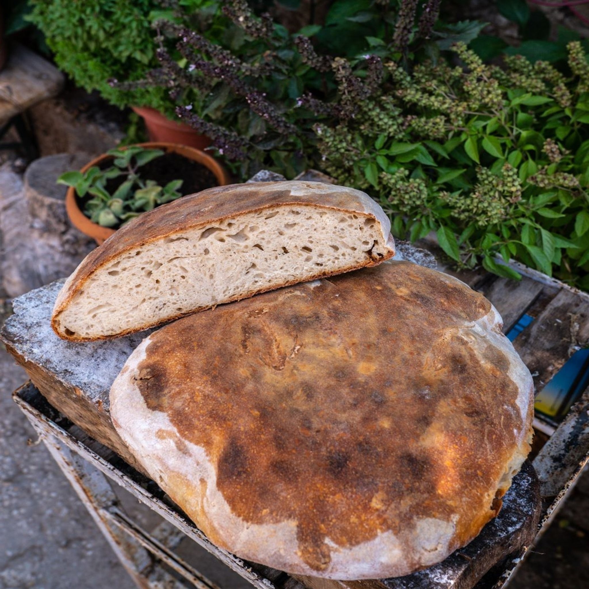 Ulubey Ekmeği