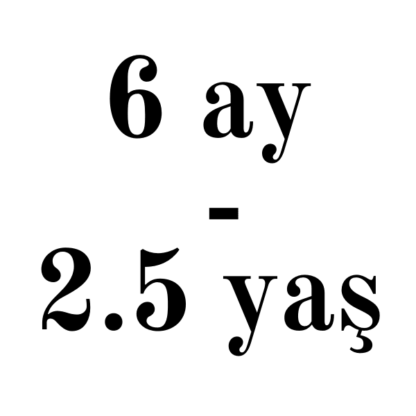 6 ay- 2.5 yaş