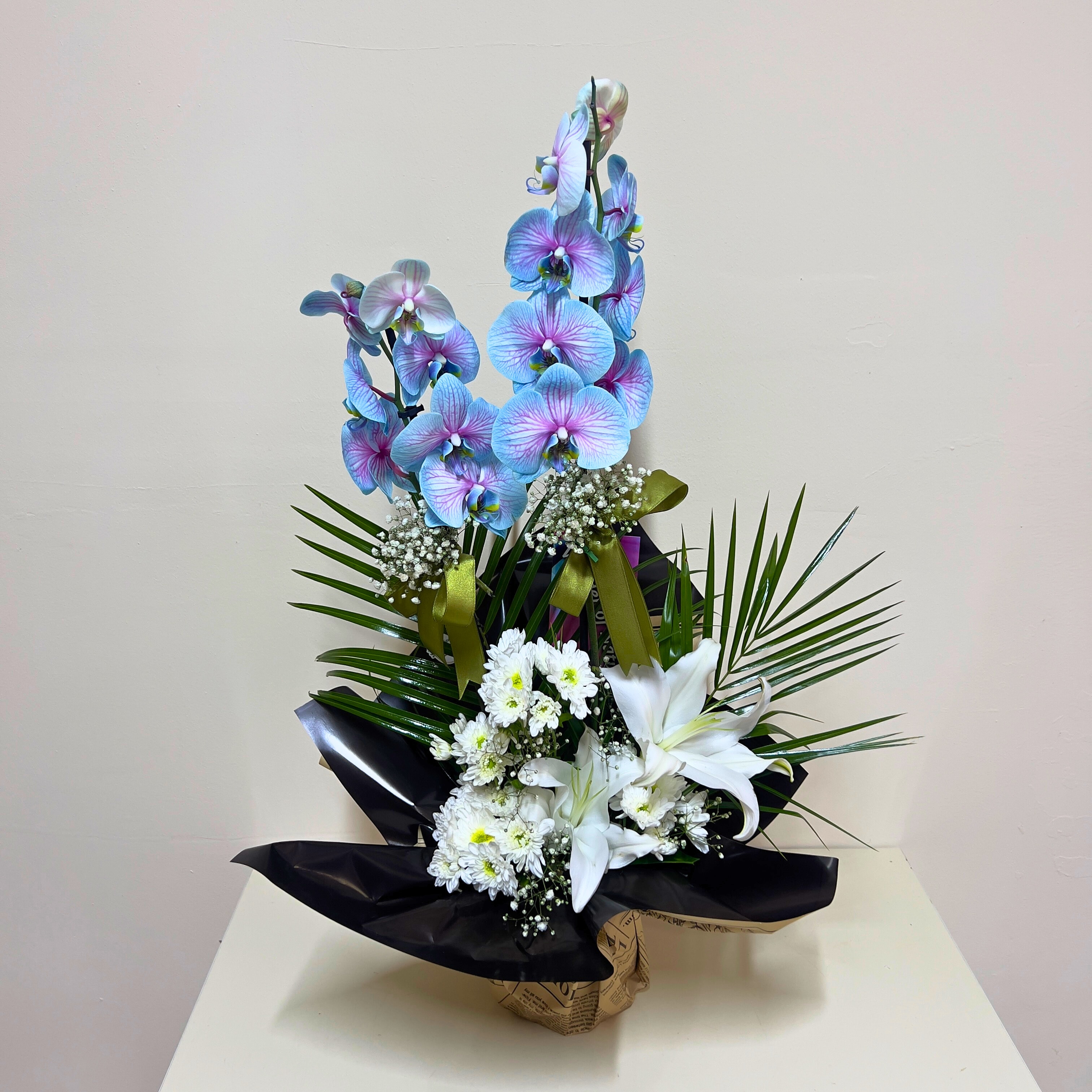 Çift Dallı Gökkuşağı Orkide 