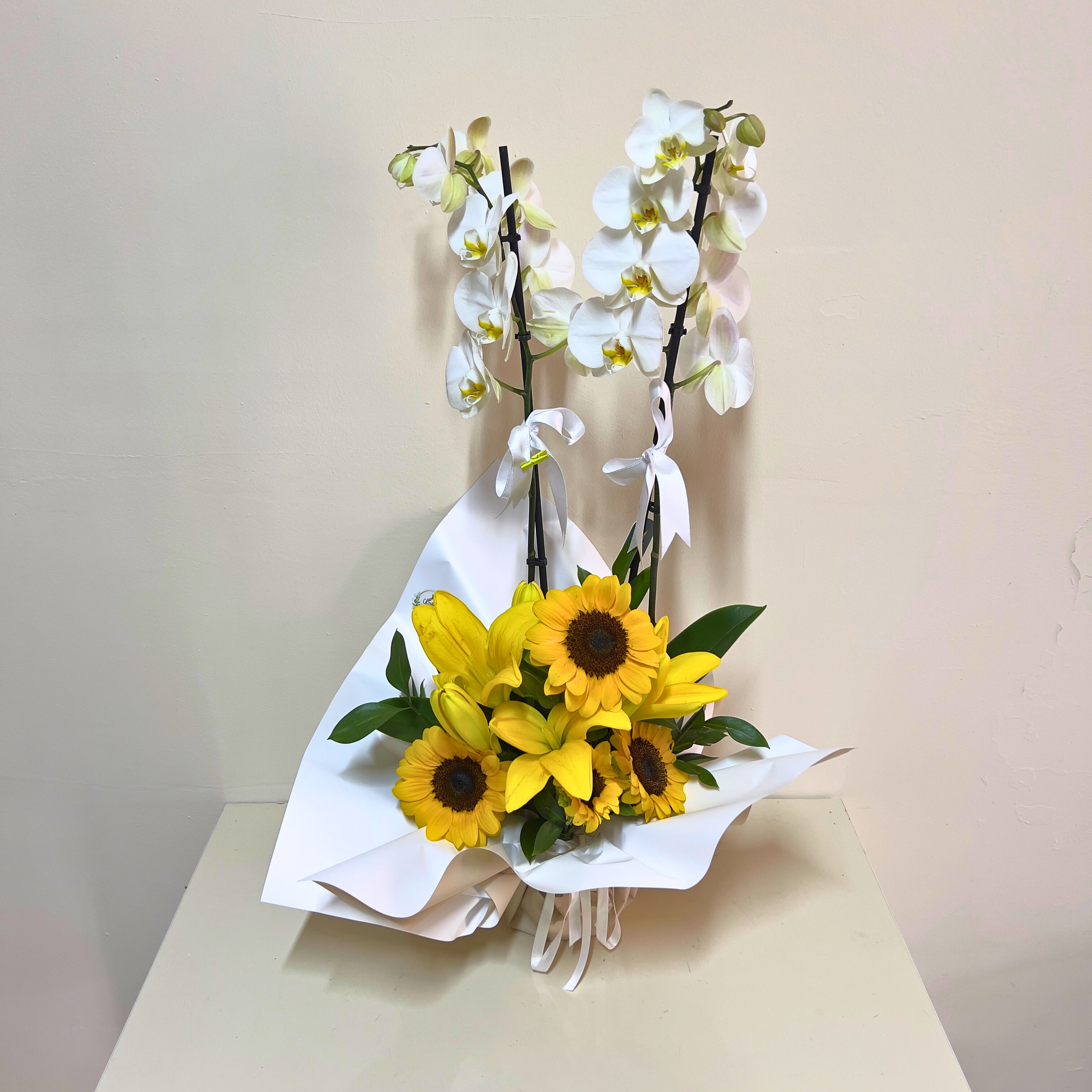 Beyaz Çift Dal Orkide Arajmanlı