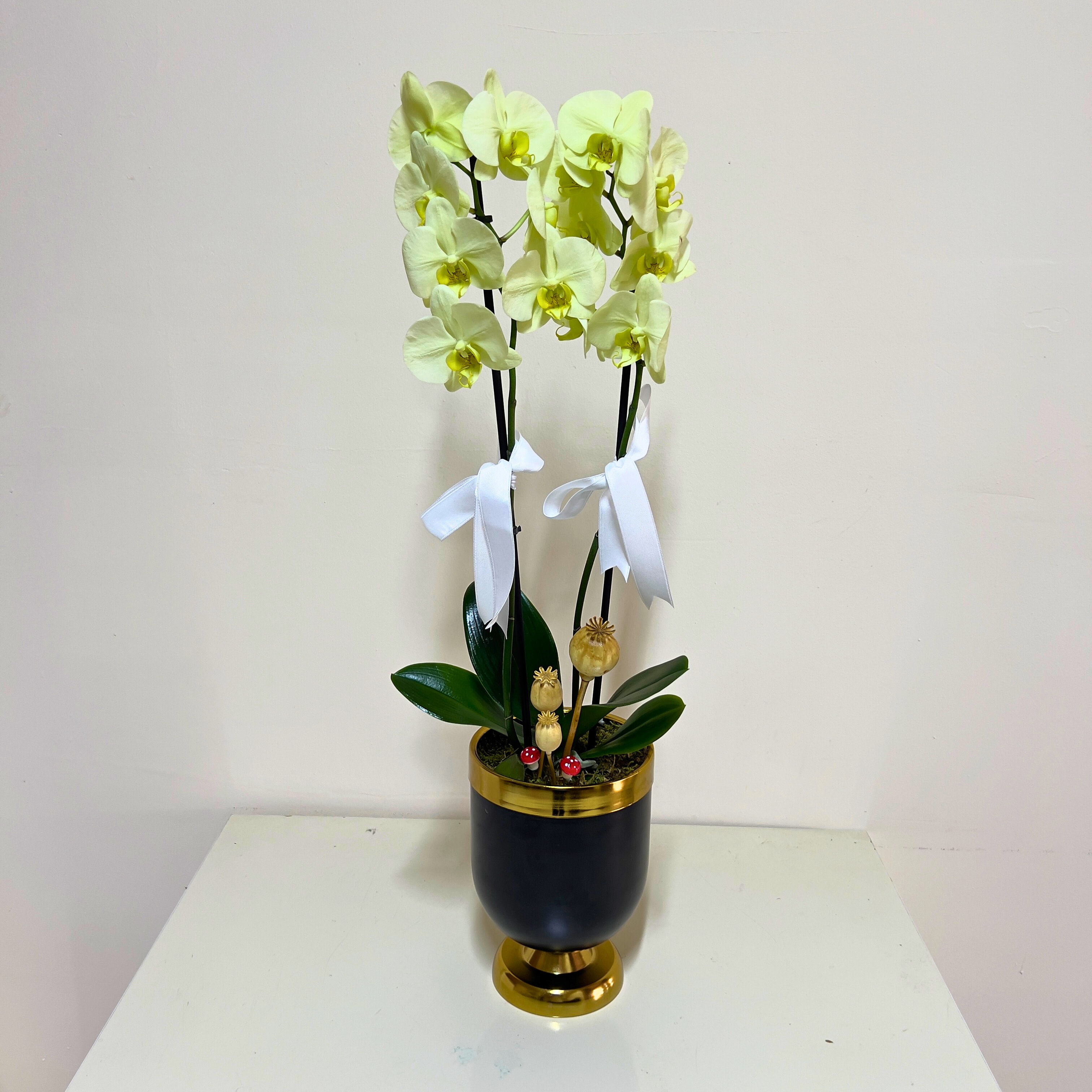 Sarı Çift Dal Orkide