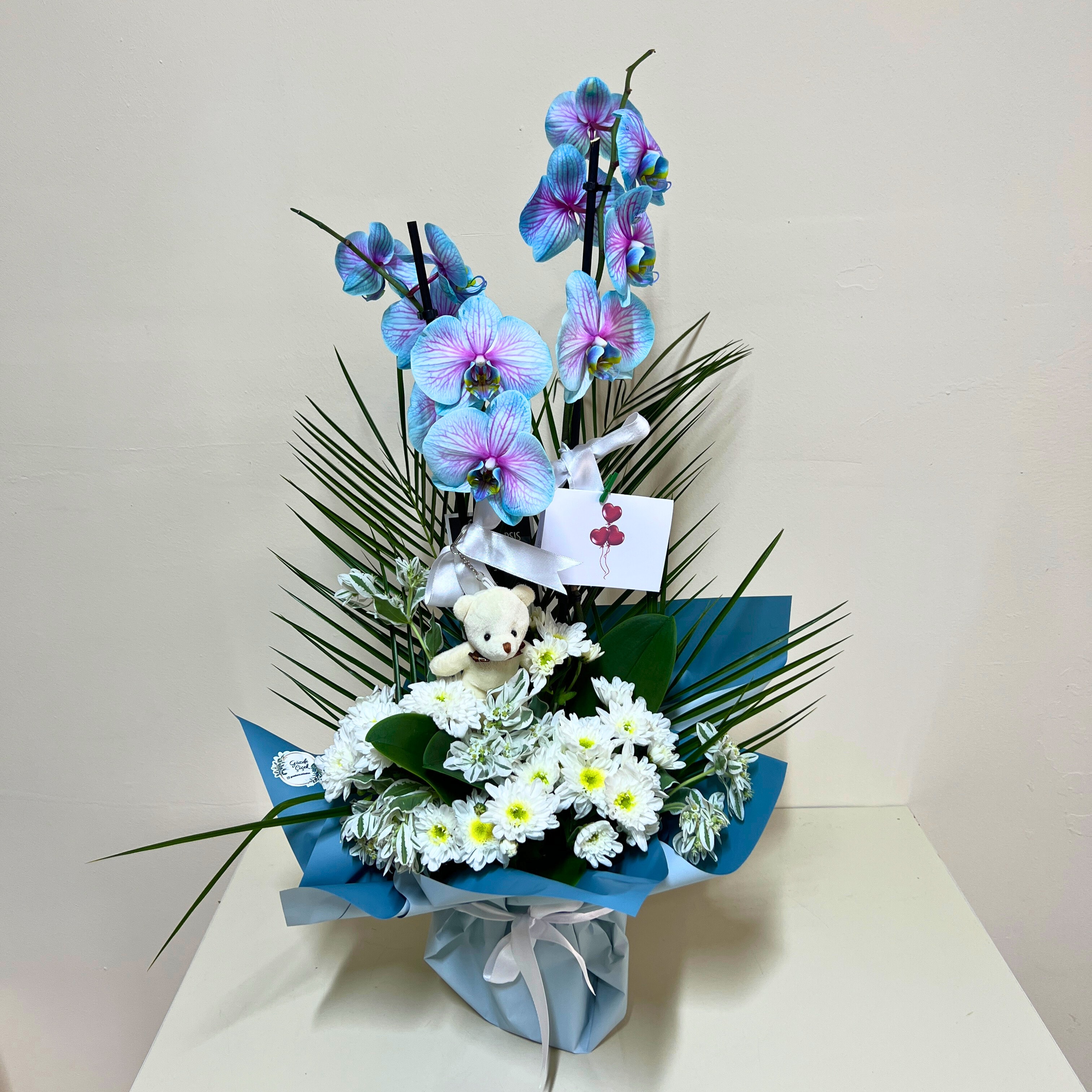 Gökkuşağı Çift Dallı Orkide Ayıcıklı 