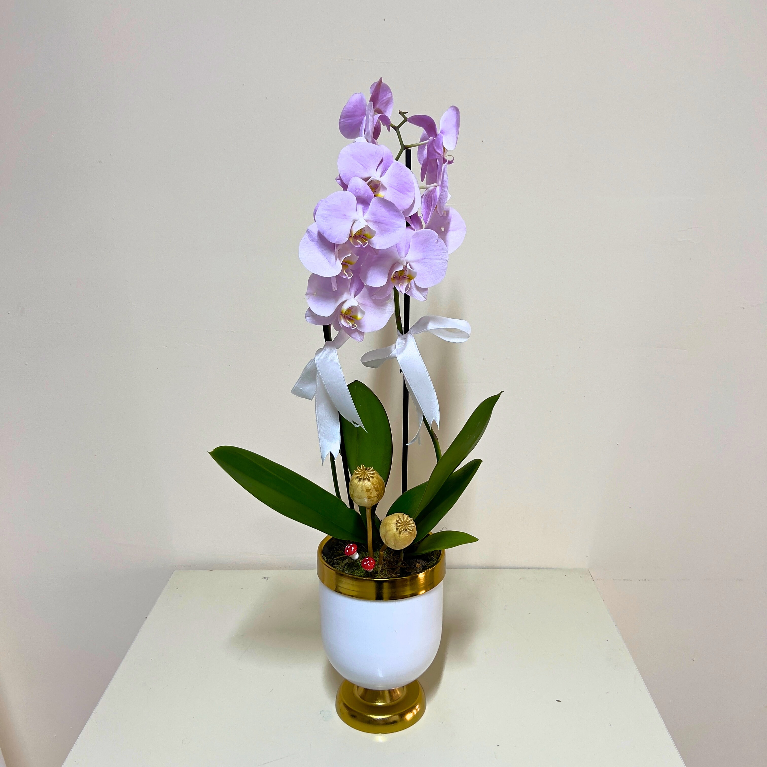Beyaz Ayaklı Vazoda Çift Dal Mor Orkide