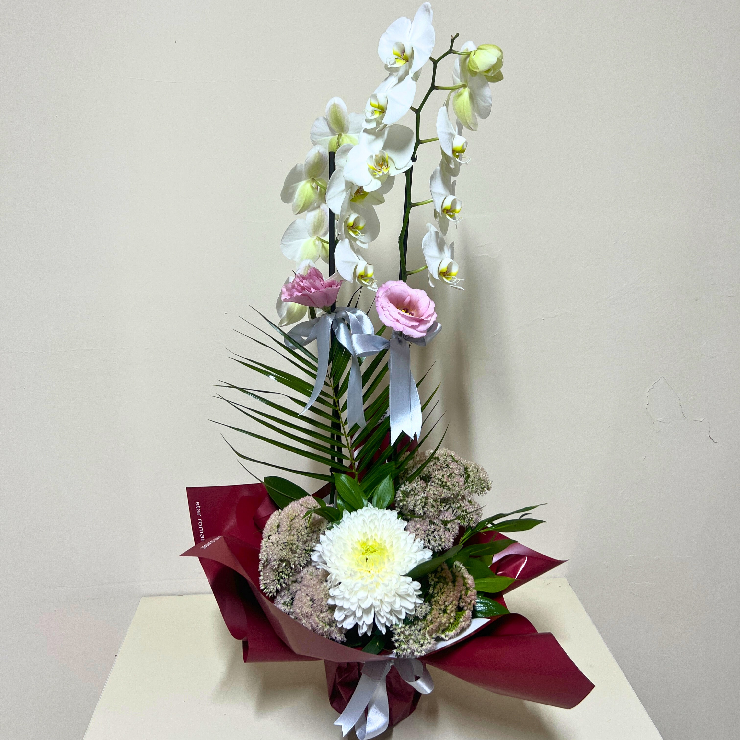 Beyaz Çift Dal Orkide Arajmanlı