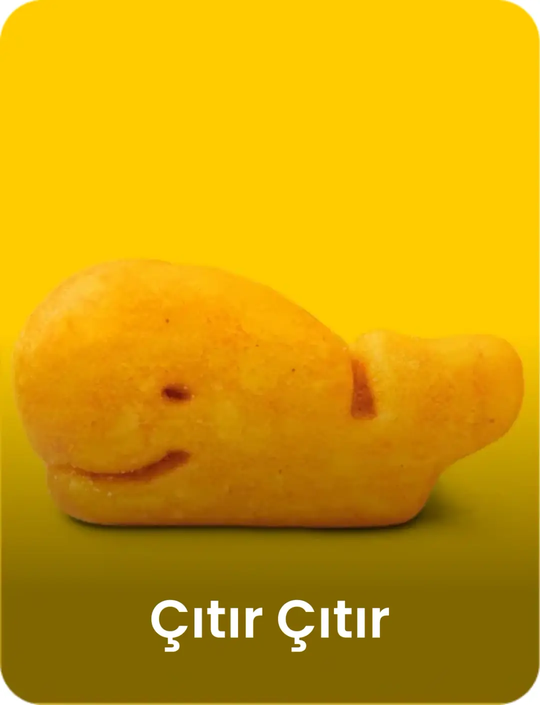 Çıtır Çıtır Atıştırmalıklar