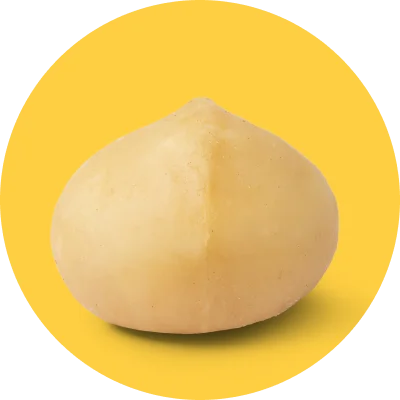 Makademya Fındıkları