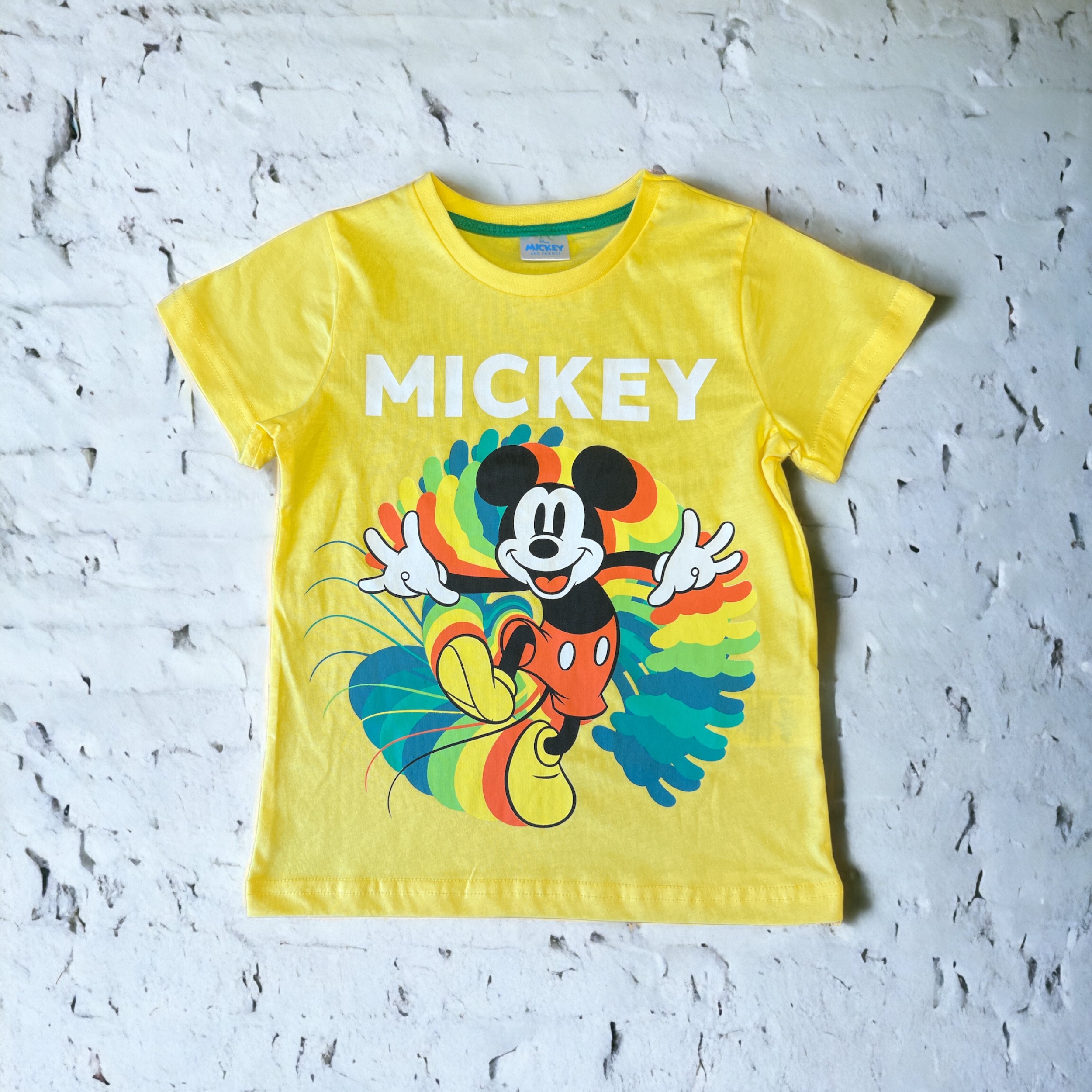 Lisanslı Erkek Çocuk Mickey 2 Li Takım 19454