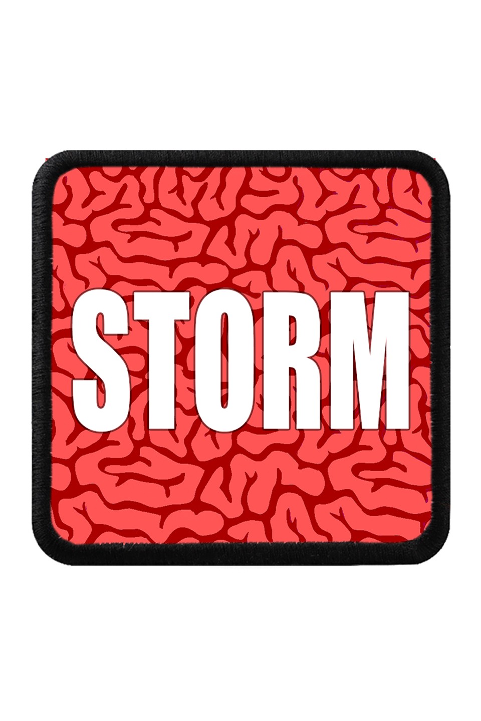 Logotipo de STORM
