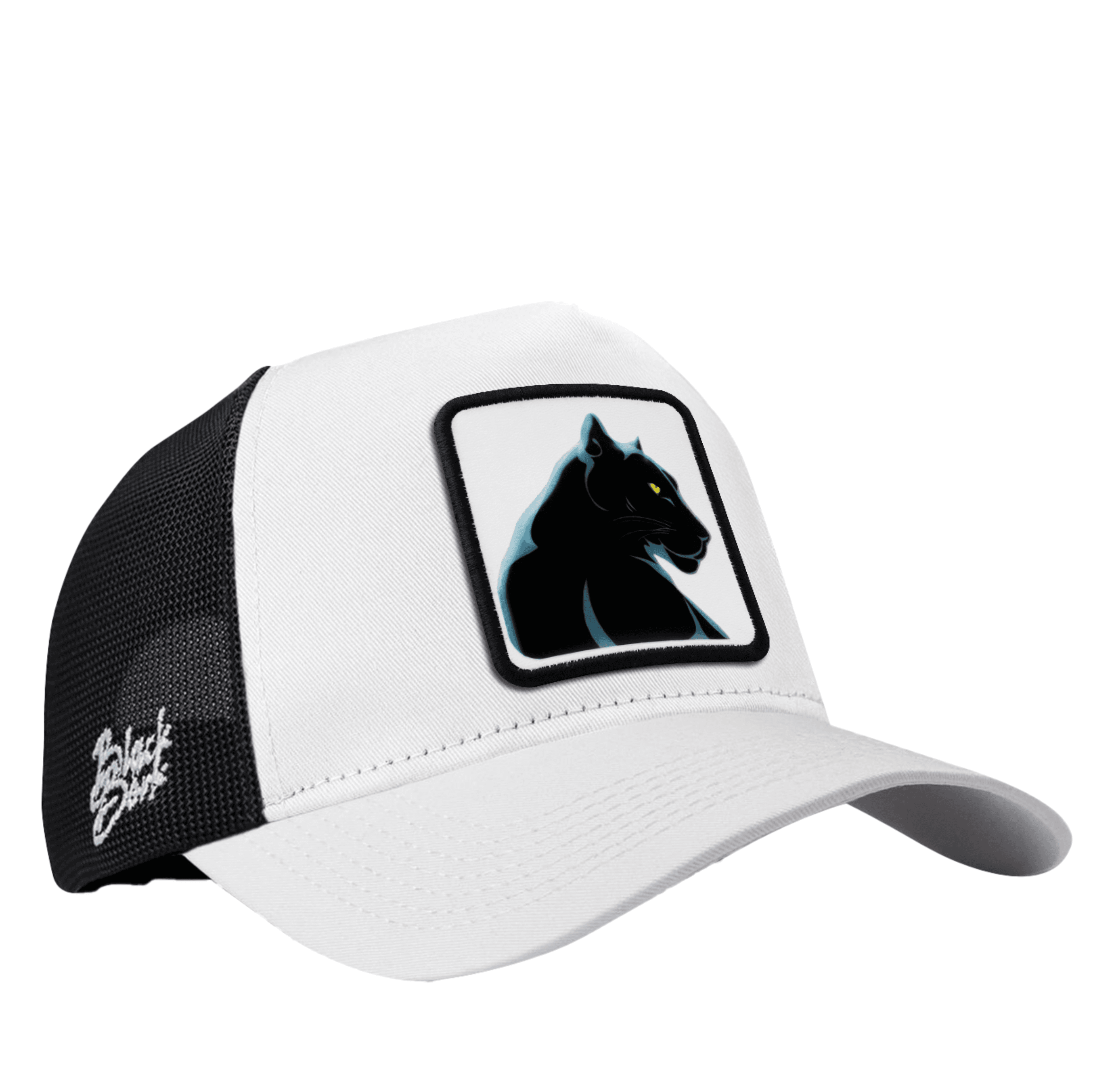 Gorra Blanco Negro Trucker